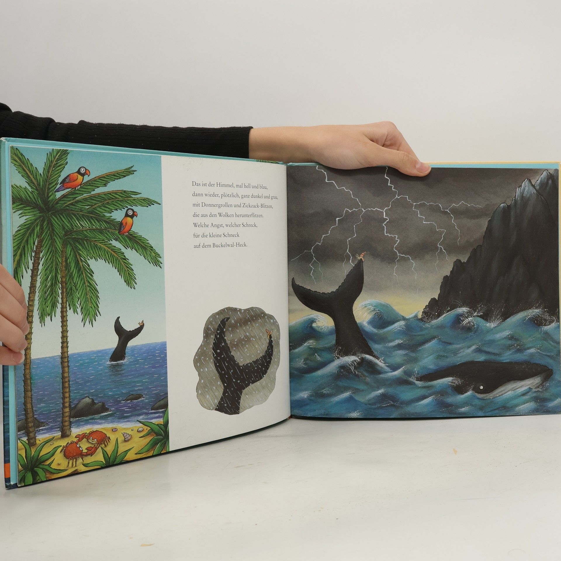 Axel Scheffler Die Schnecke und der Buckelwal