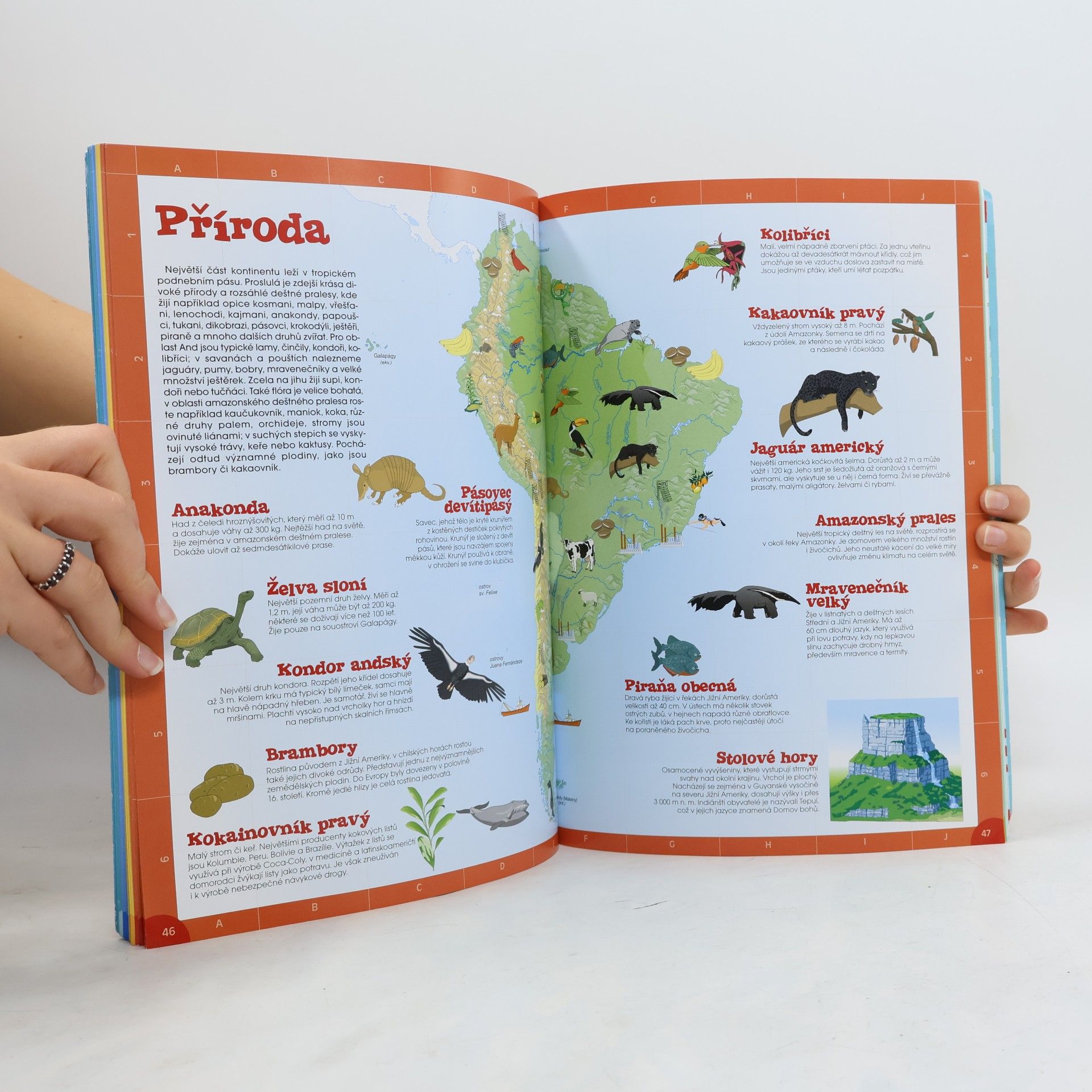 Jaroslav Synek Můj první atlas: Samolepky, rozkládací hry