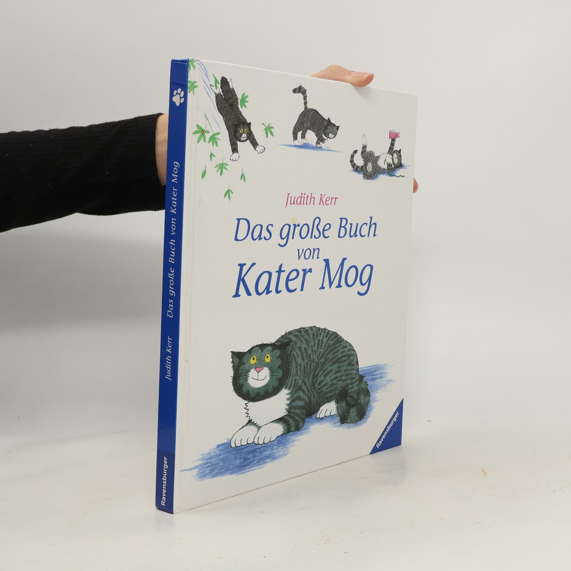Das große Buch von Kater Mog