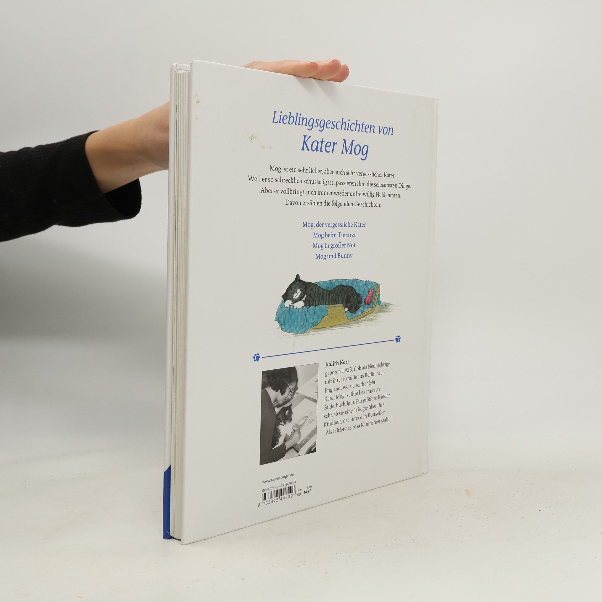 Judith Kerr Das große Buch von Kater Mog
