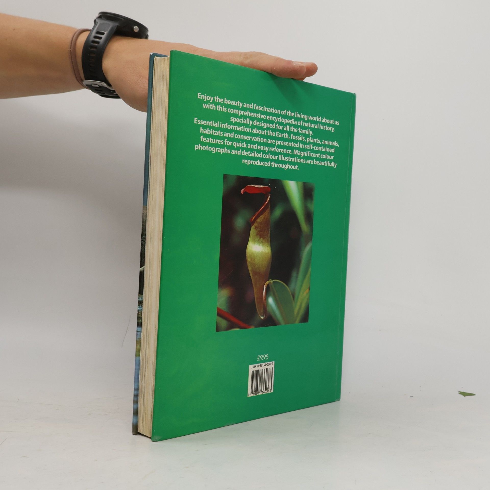 Joyce Pope Encyclopedia of Natural History