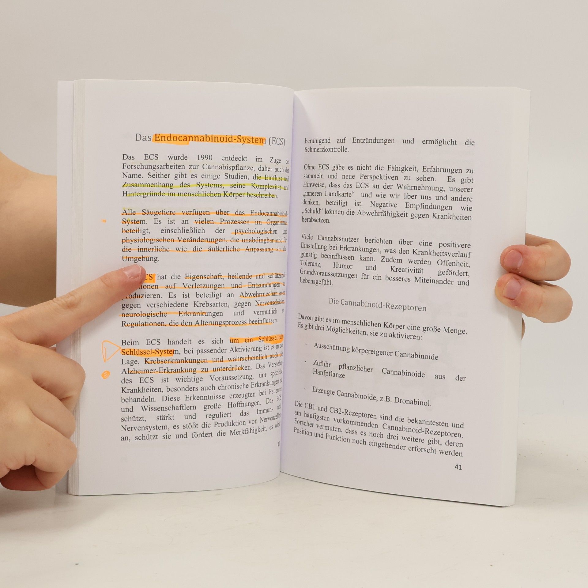 Healthcare Institute CBD Praxisbuch