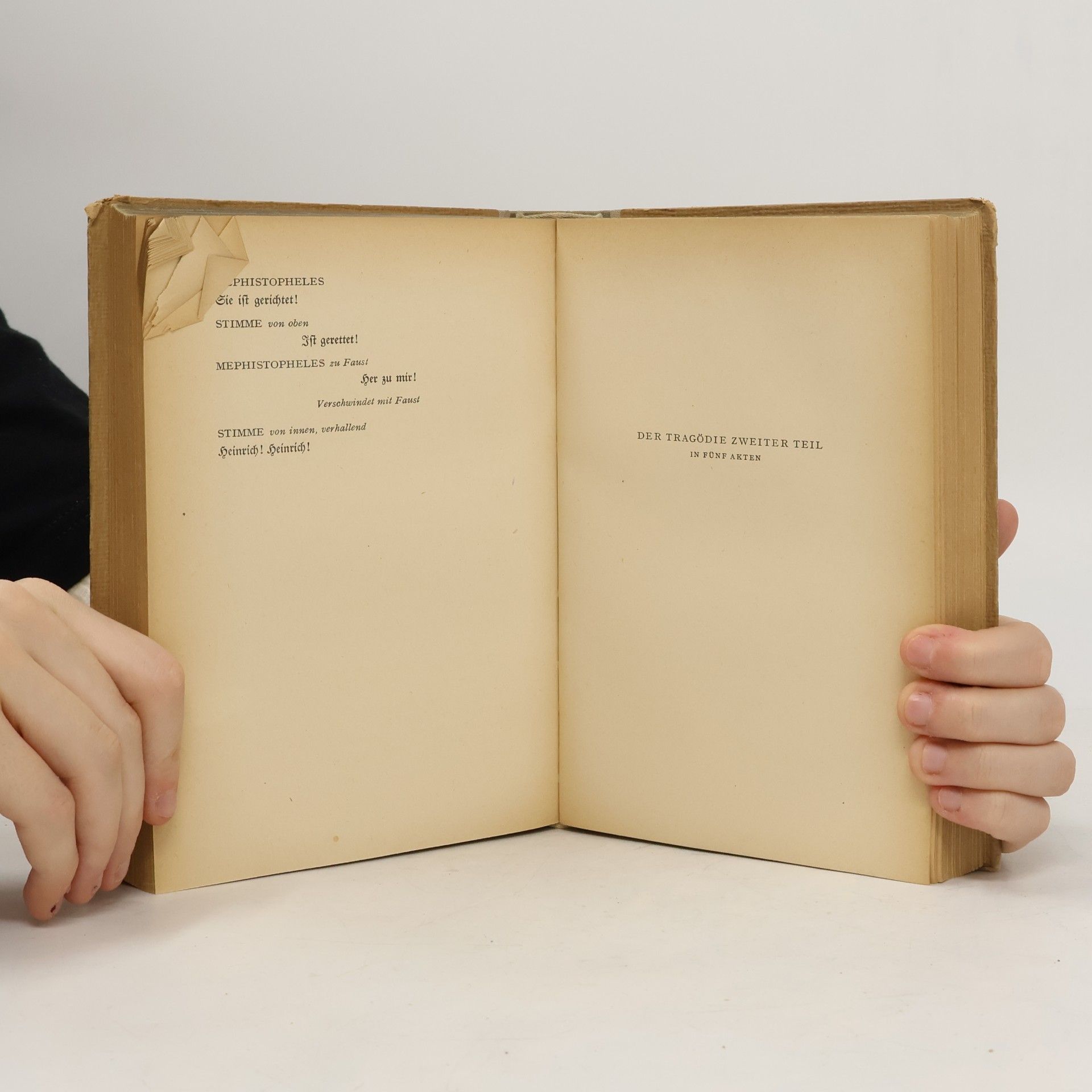 Johann Wolfgang von Goethe Goethes Werke in Auswahl 6