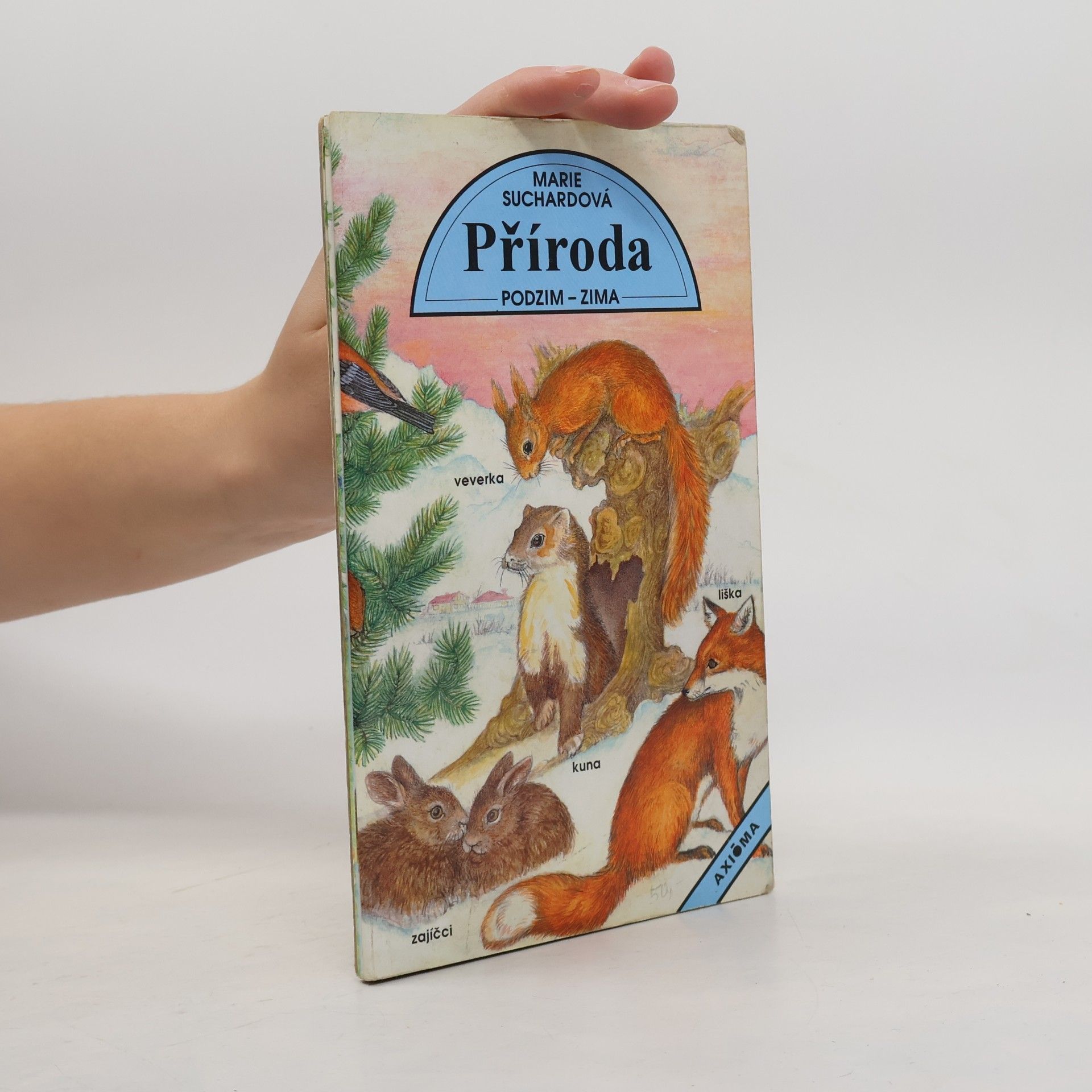 Příroda. Jaro-léto