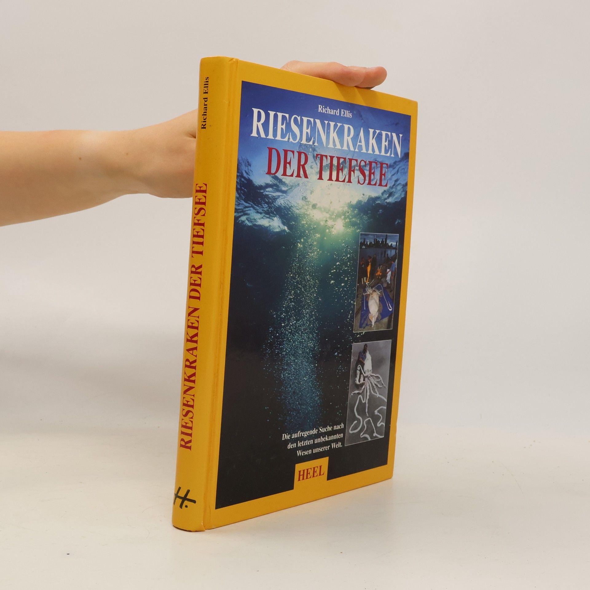 Riesenkraken der Tiefsee