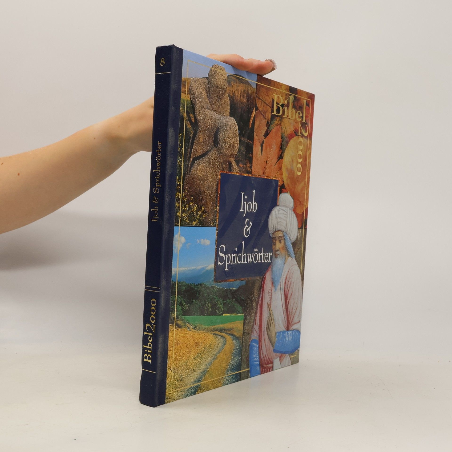Bibel 2000 - 8: Ijob & Sprichwörter
