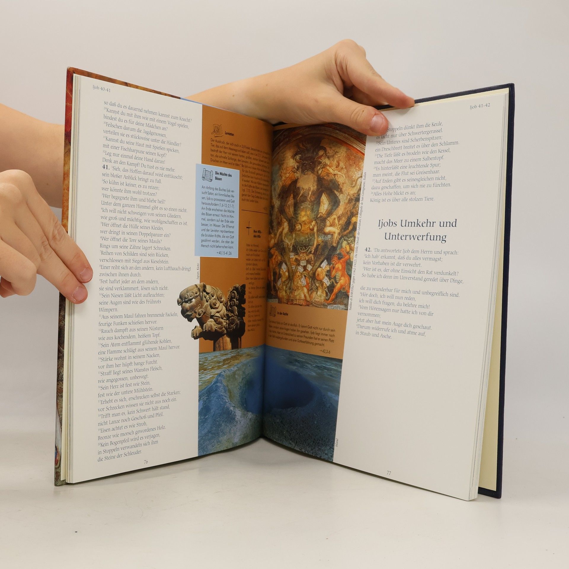Bibel 2000 - 8: Ijob & Sprichwörter