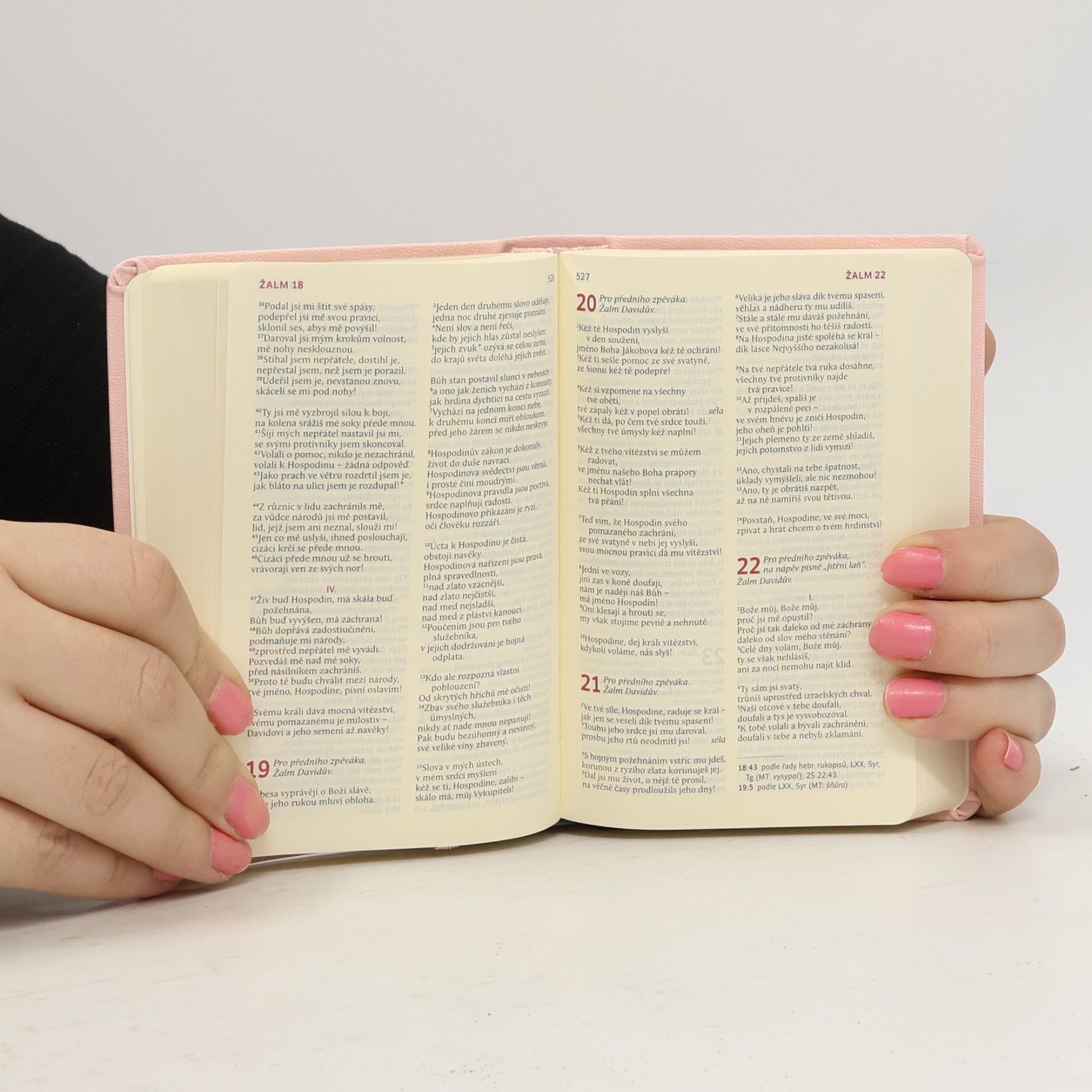 Autorenkollektiv Bible. Překlad 21. století