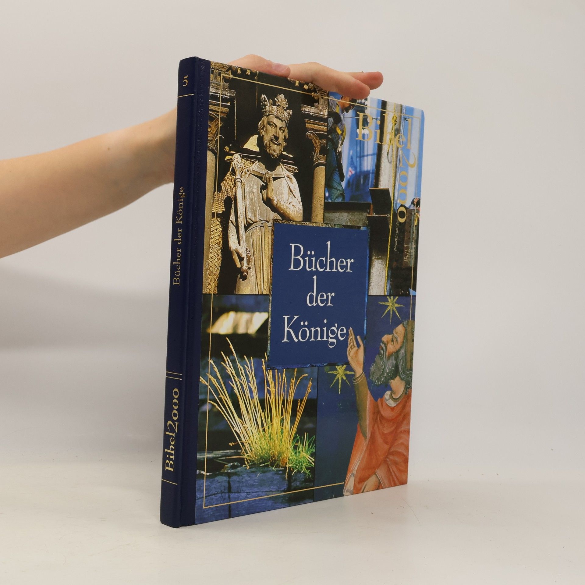 Kolektiv autorů Bücher der Könige.