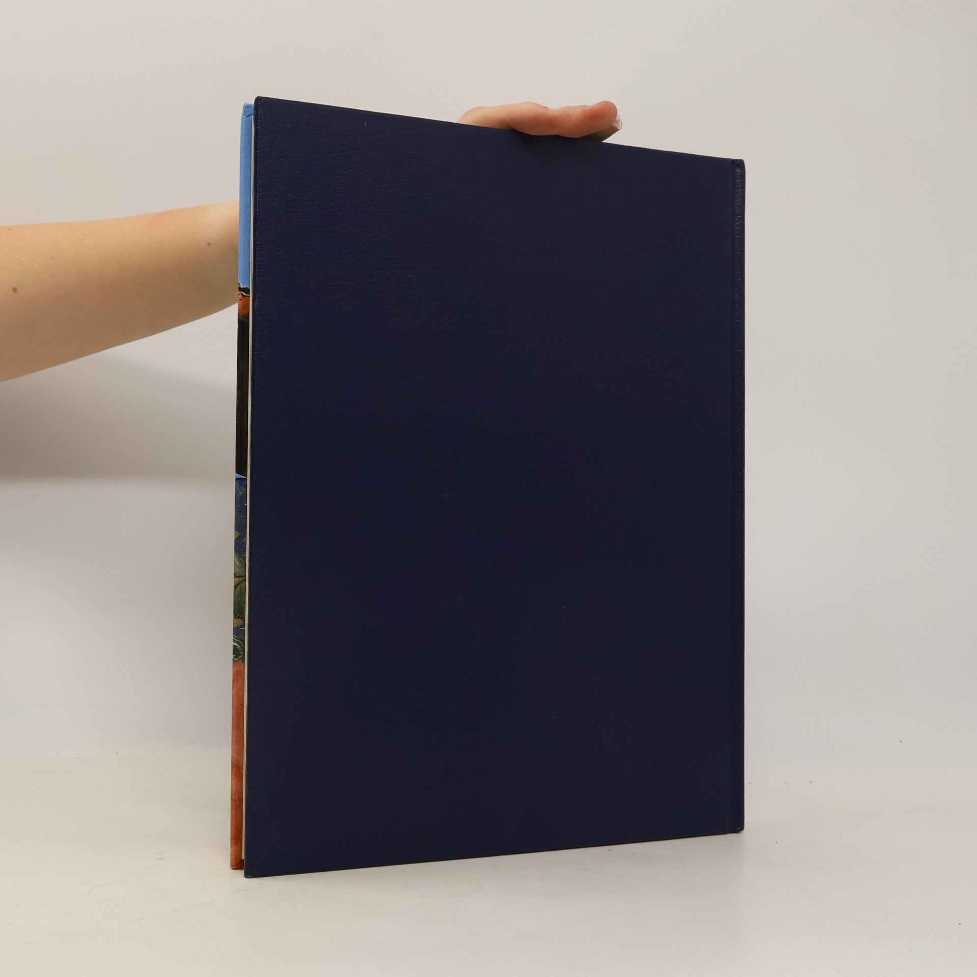 Kolektiv autorů Bücher der Könige.