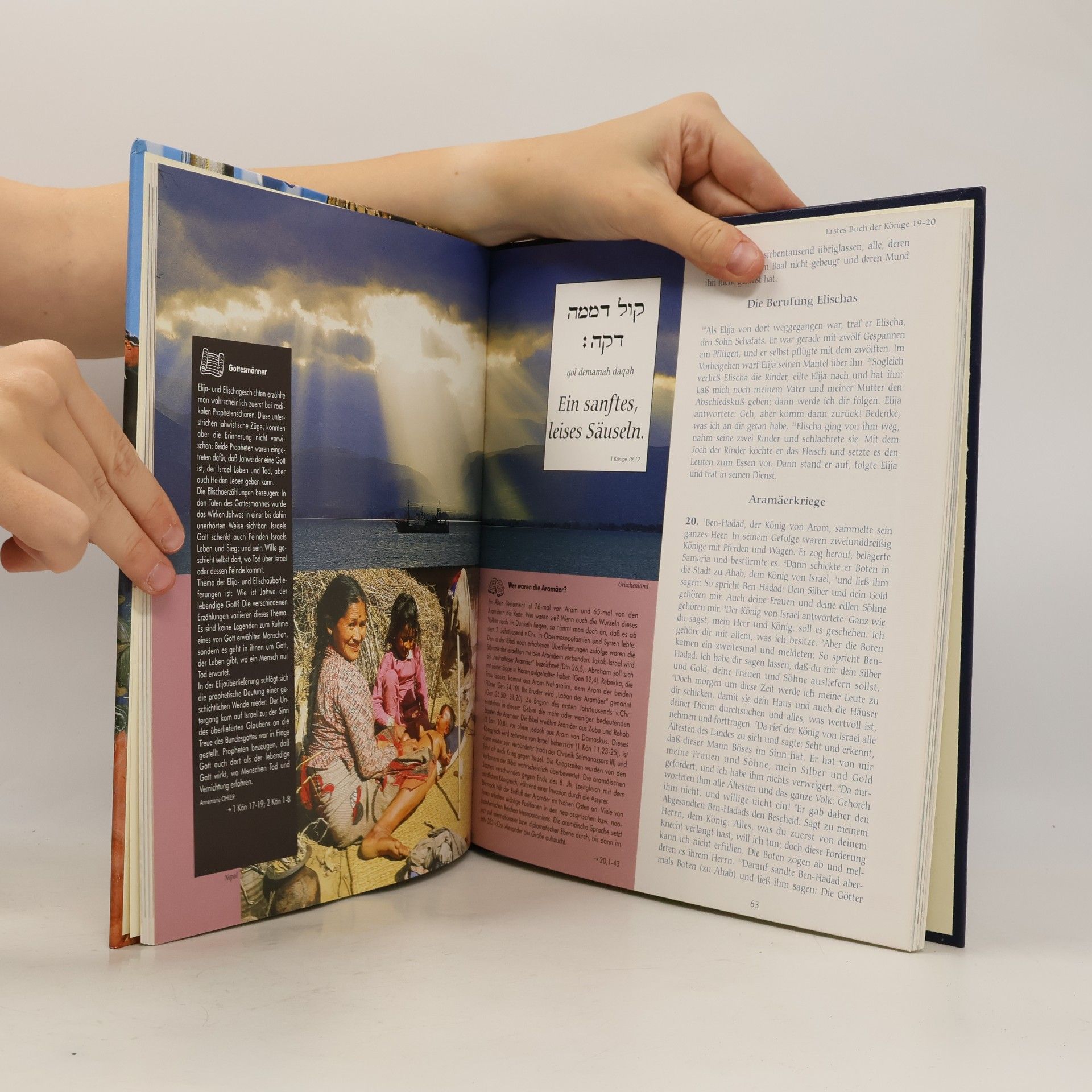 Kolektiv autorů Bücher der Könige.