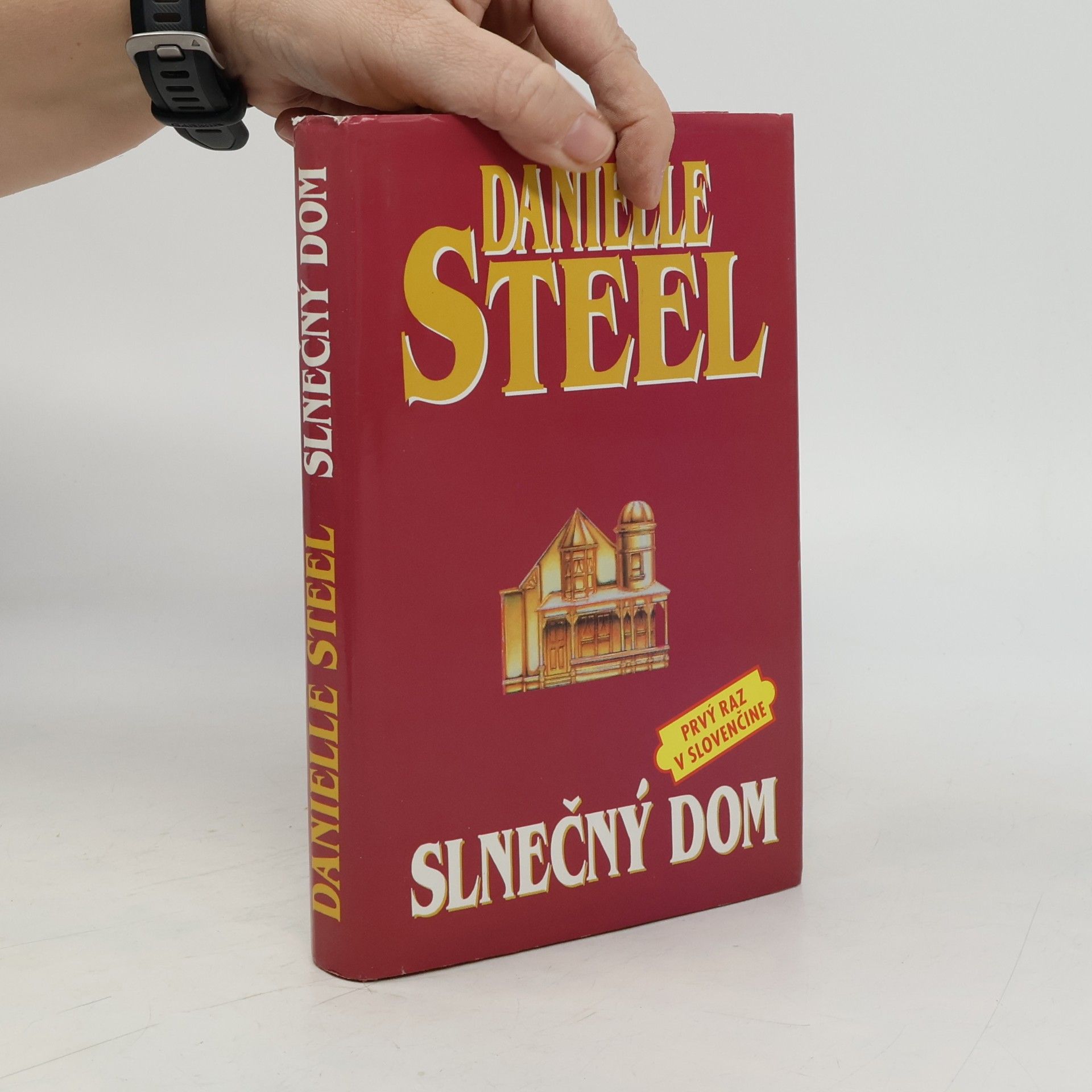 Danielle Steel Slnečný dom