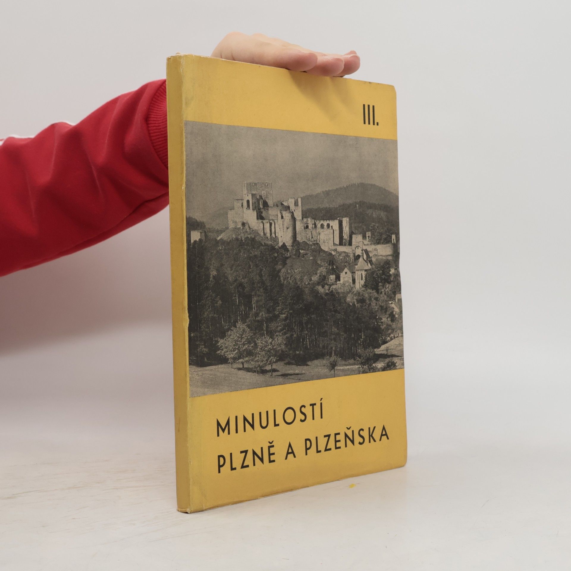 Kolektív autorov Minulostí Plnzně a Plzeňska III