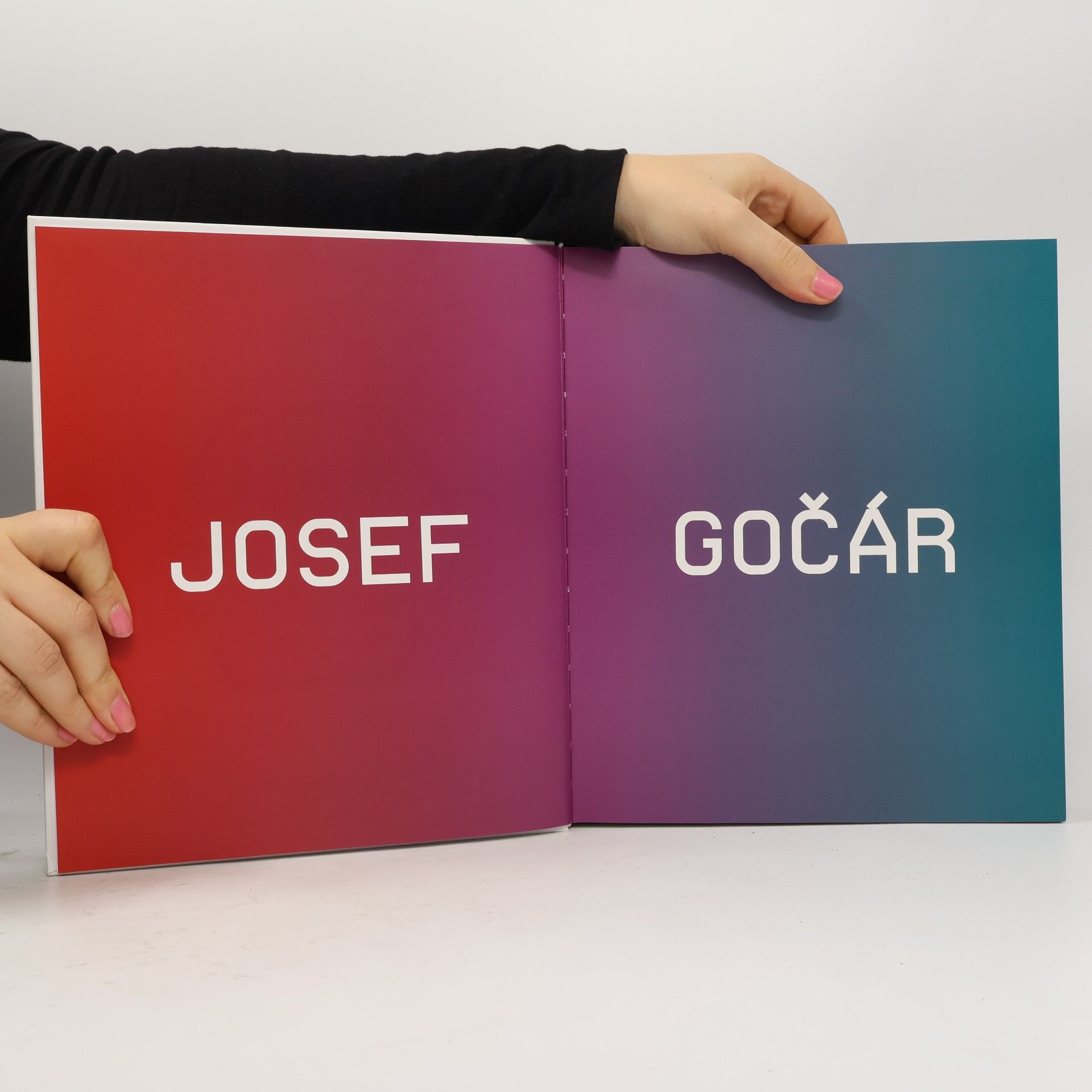 Kolektiv autorů Josef Gočár