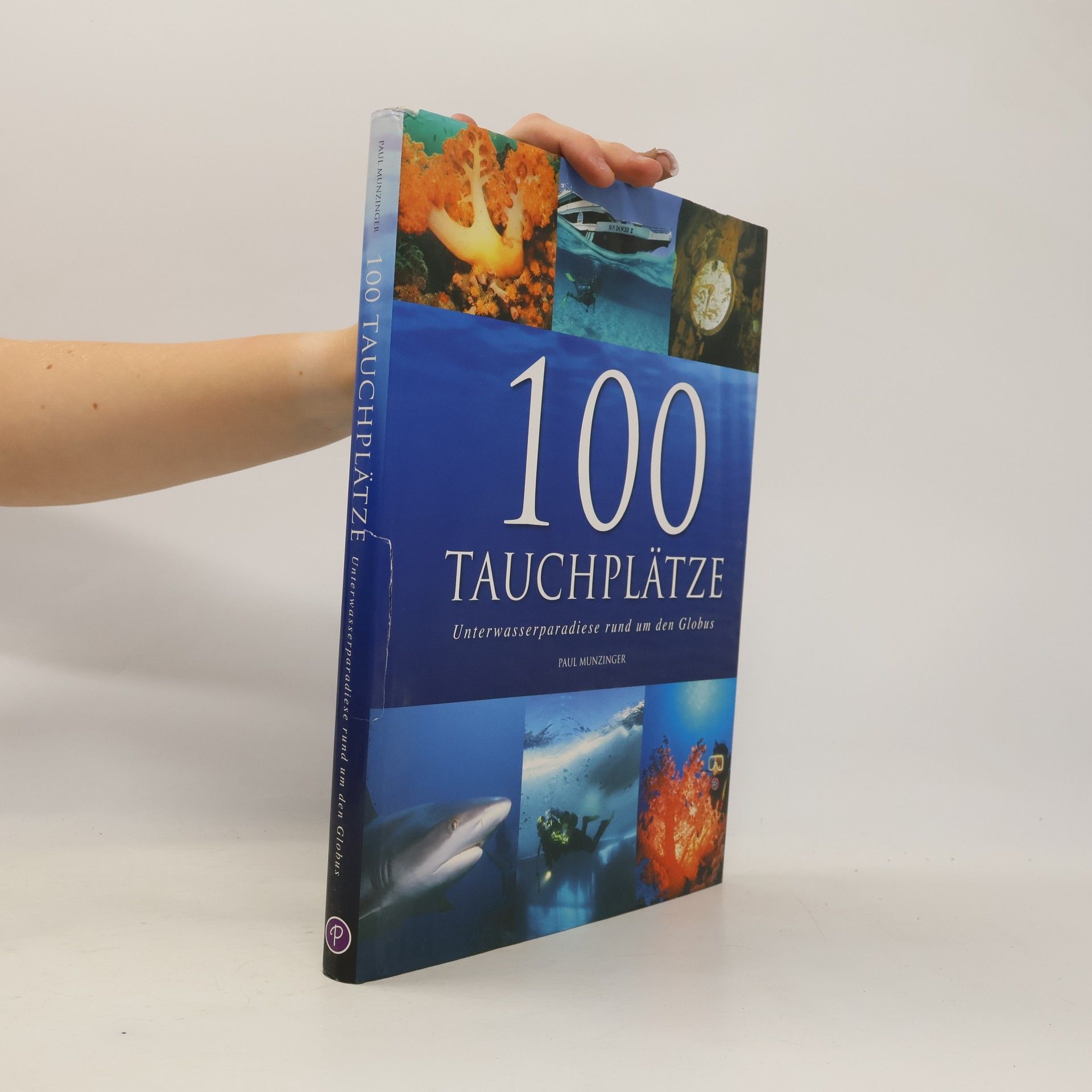Paul Munzinger 100 Tauchplätze