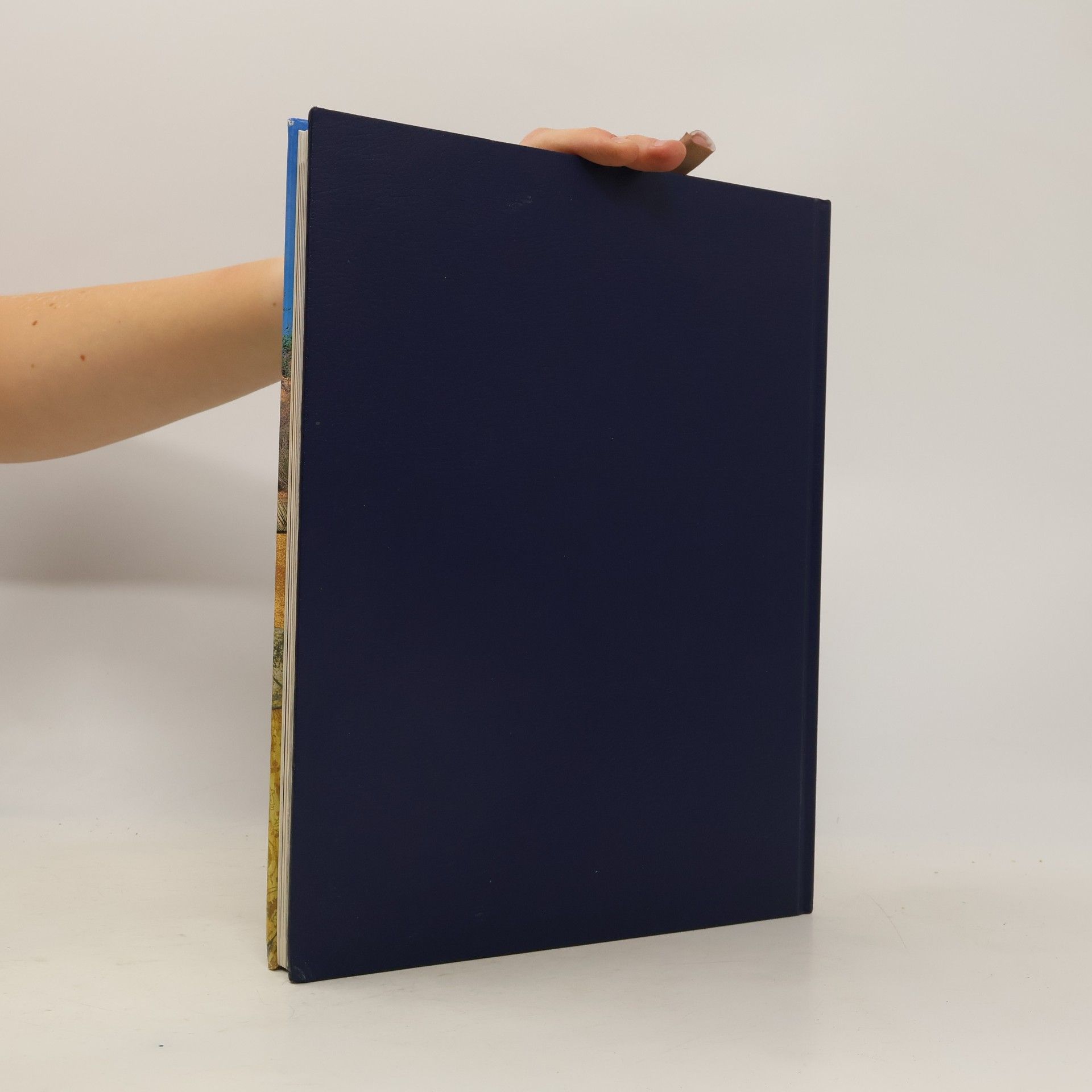 Kolektiv autorů Bibel 2000. Deuteronomium Josua & Richter
