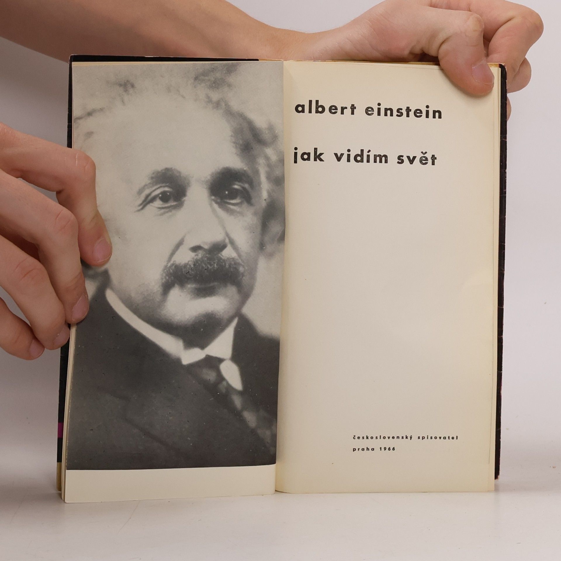 Albert Einstein Jak vidím svět