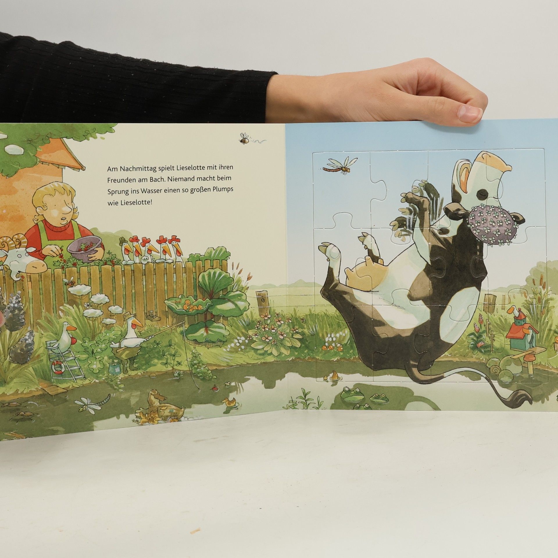 Alexander Steffensmeier Mein Lieselotte Puzzlebuch