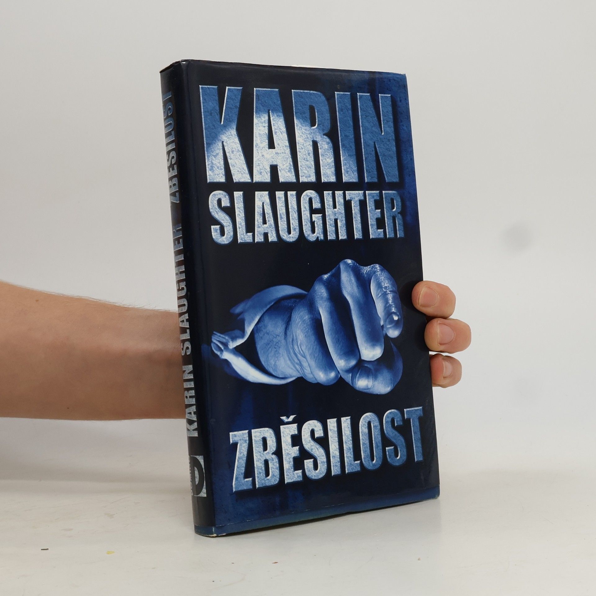 Karin Slaughter Zběsilost