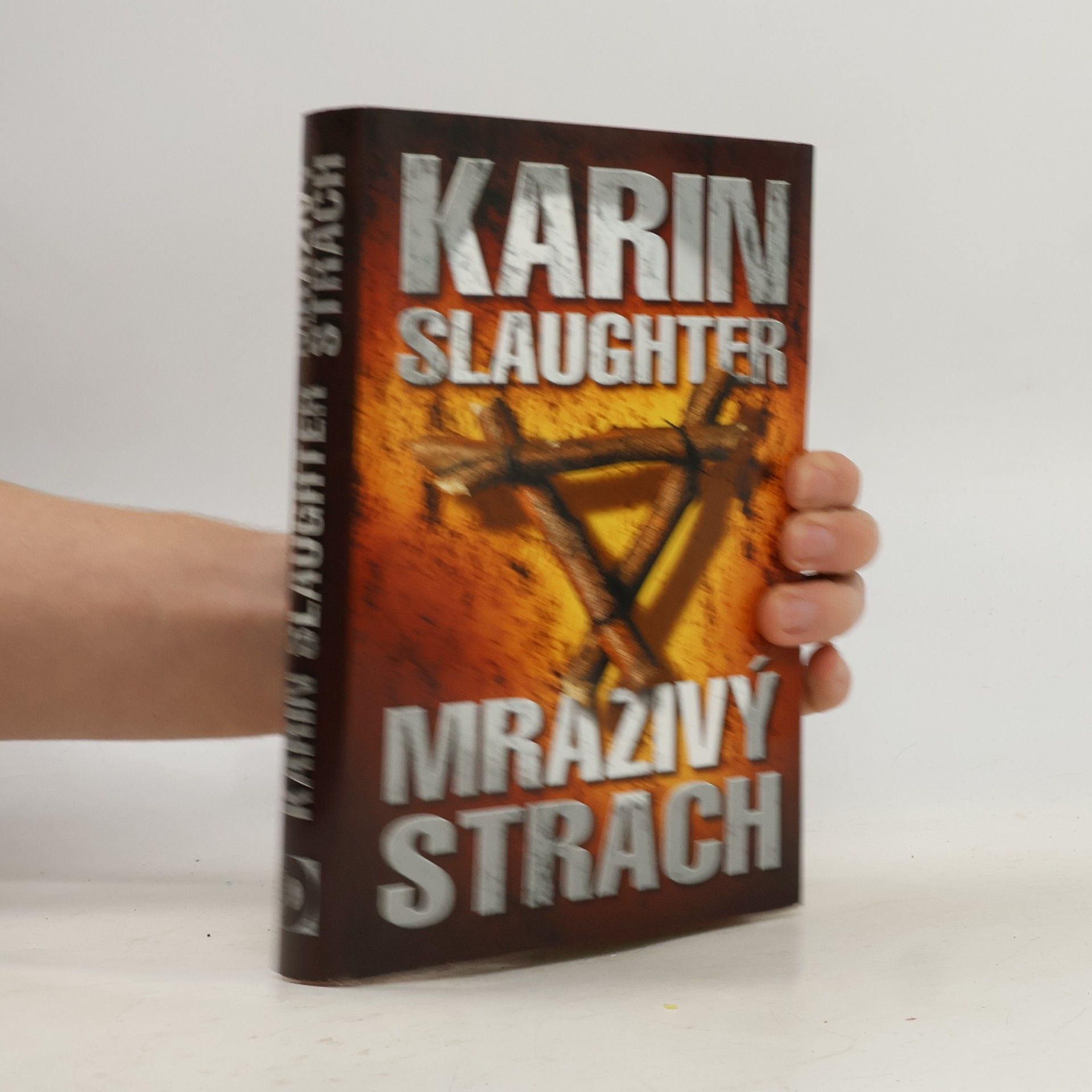 Karin Slaughter Mrazivý strach