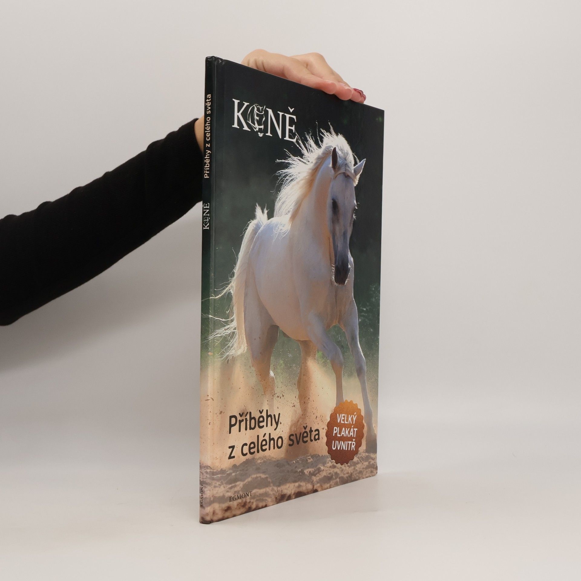 Kolektiv autorů Koně : příběhy z celého světa