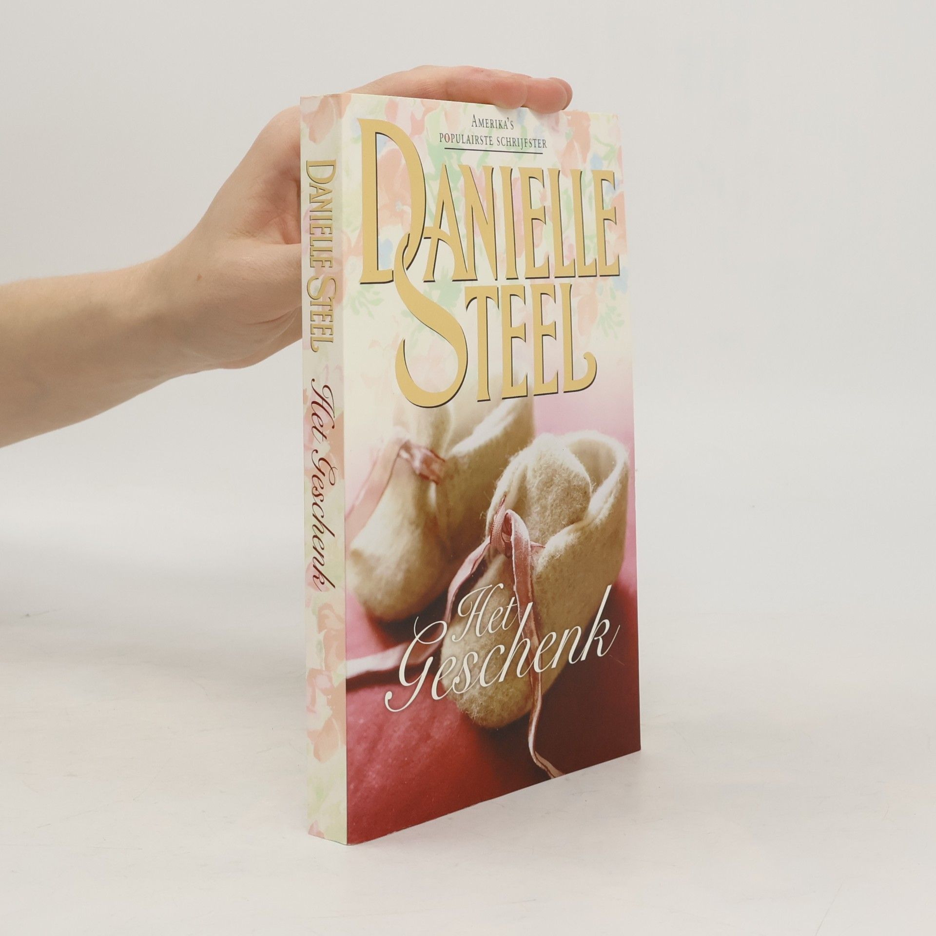 Danielle Steel Het Geschenk