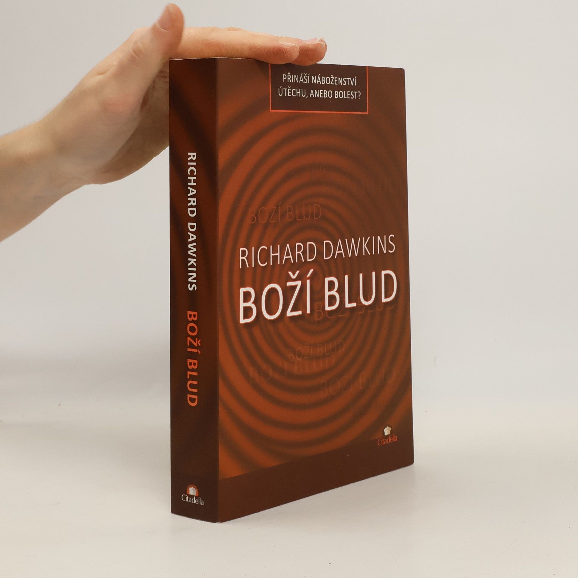 Boží blud