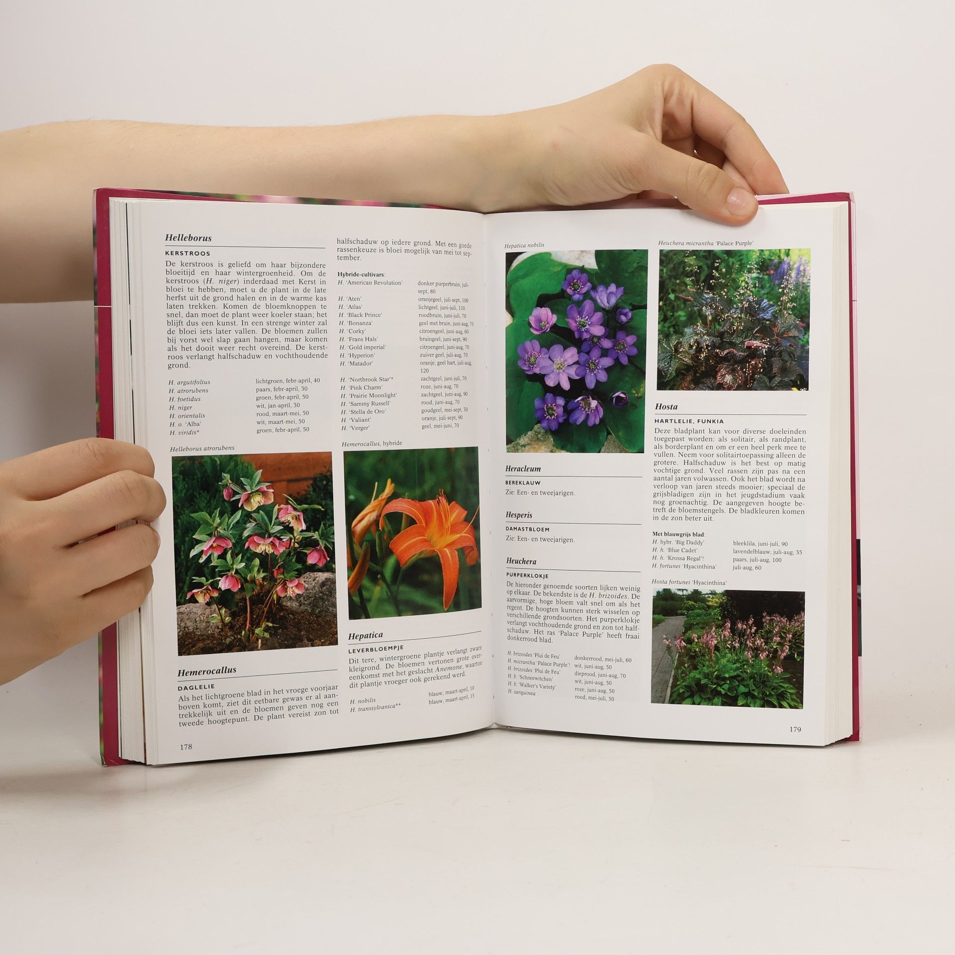 Klaas Noordhuis Tuinplanten encyclopedie - druk 24