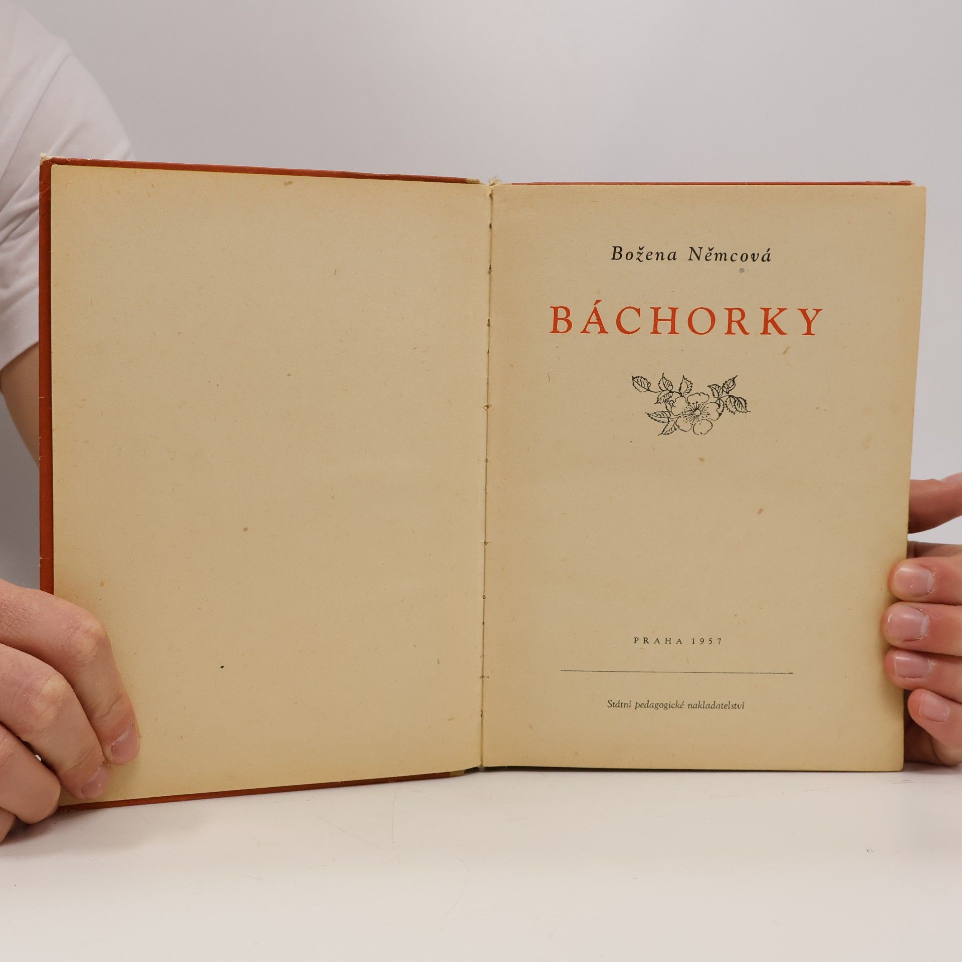 Božena Němcová Báchorky