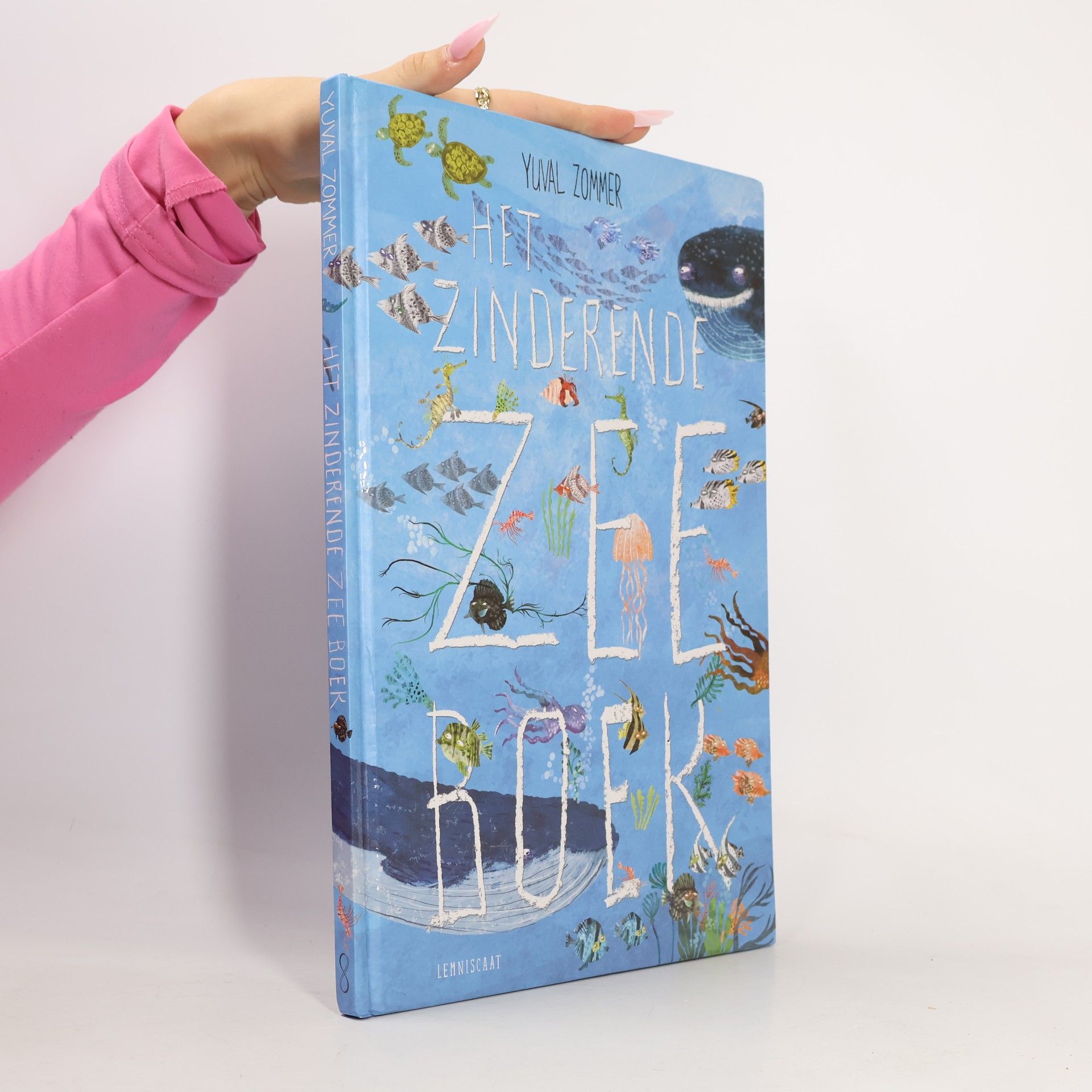Yuval Zommer Het zinderende zee boek