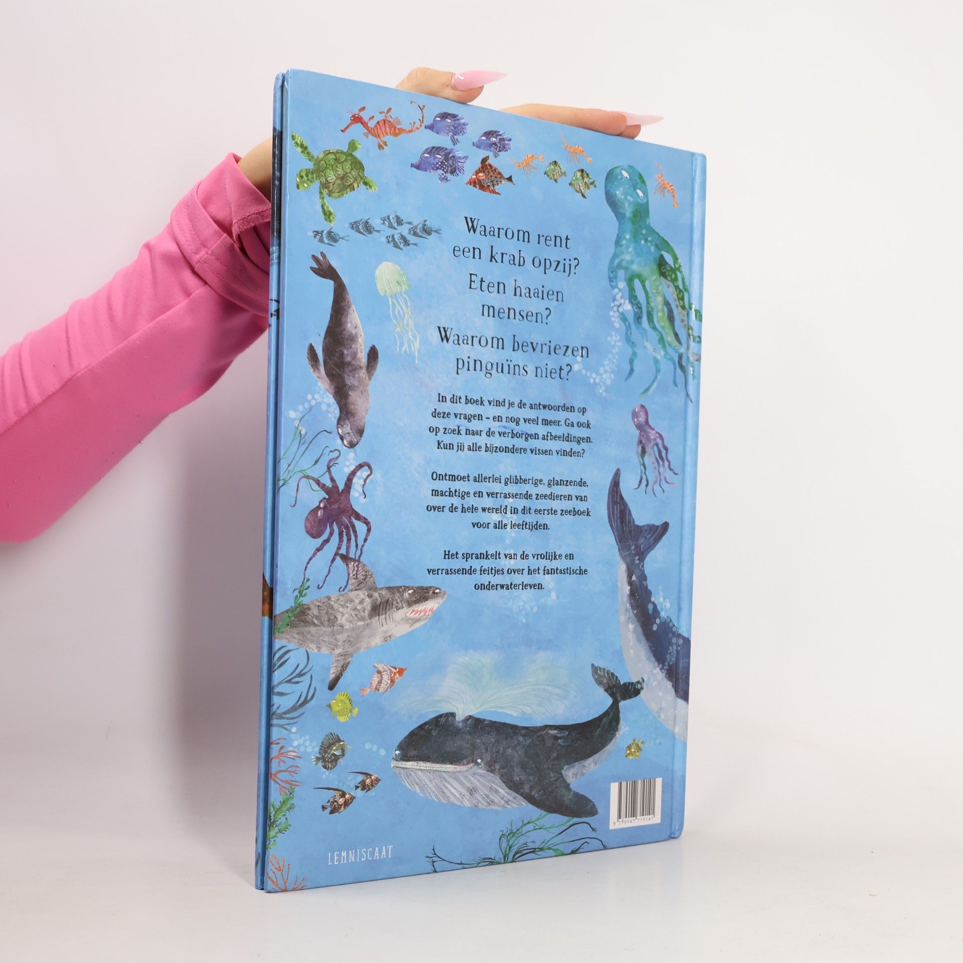 Yuval Zommer Het zinderende zee boek