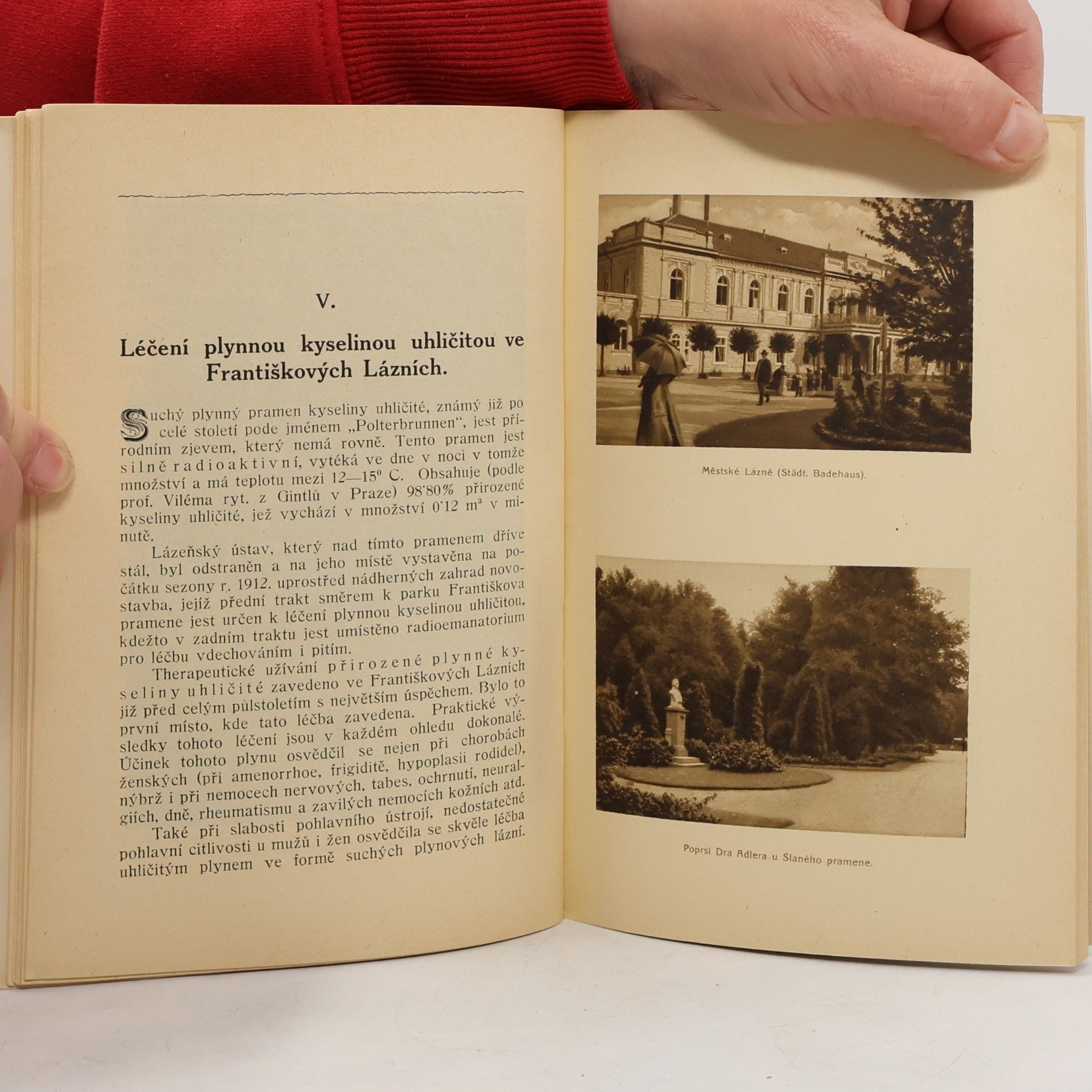 Various authors Světové Františkovy Lázně slovem i obrazem