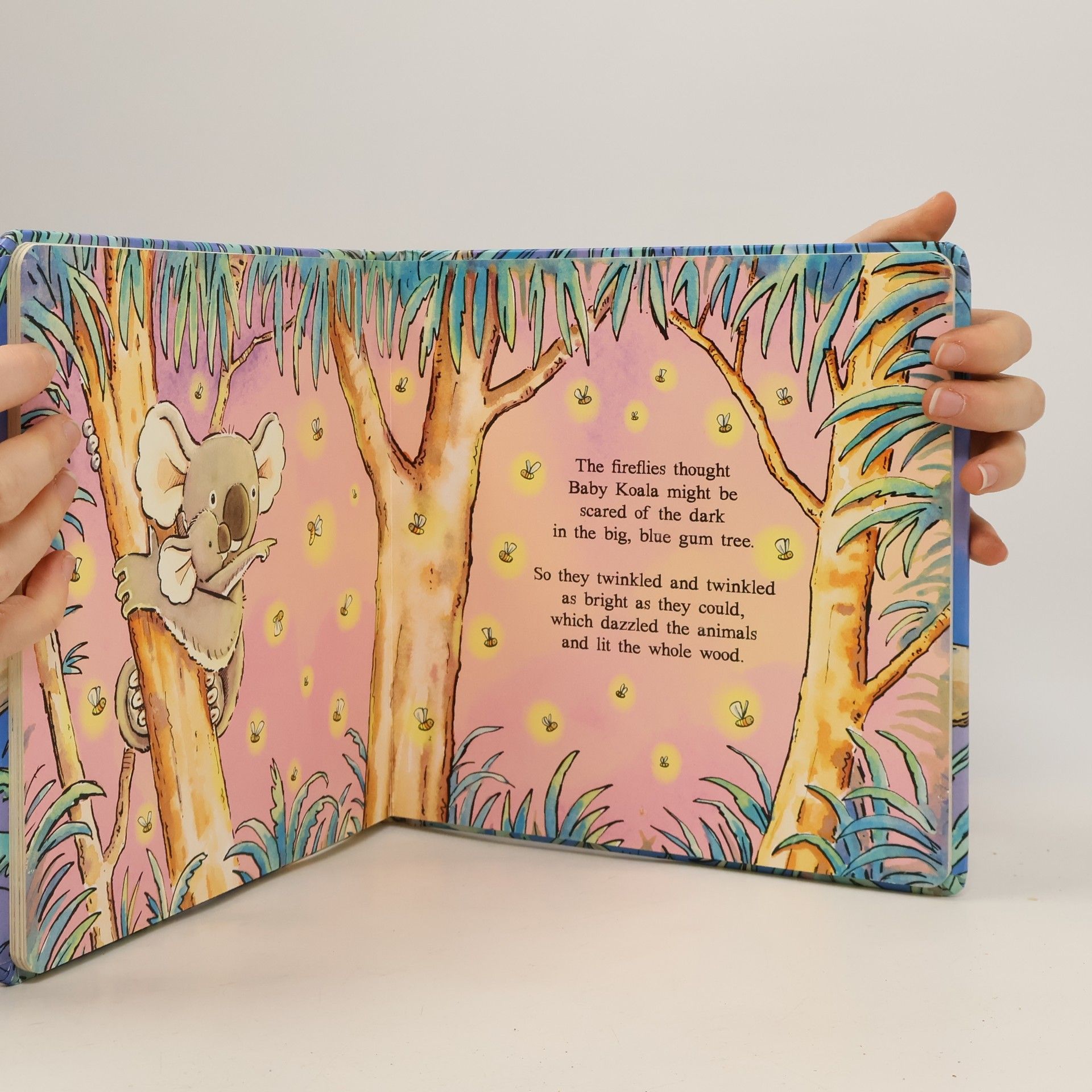 Sue Samuels The Koala Who Couldn't Sleep