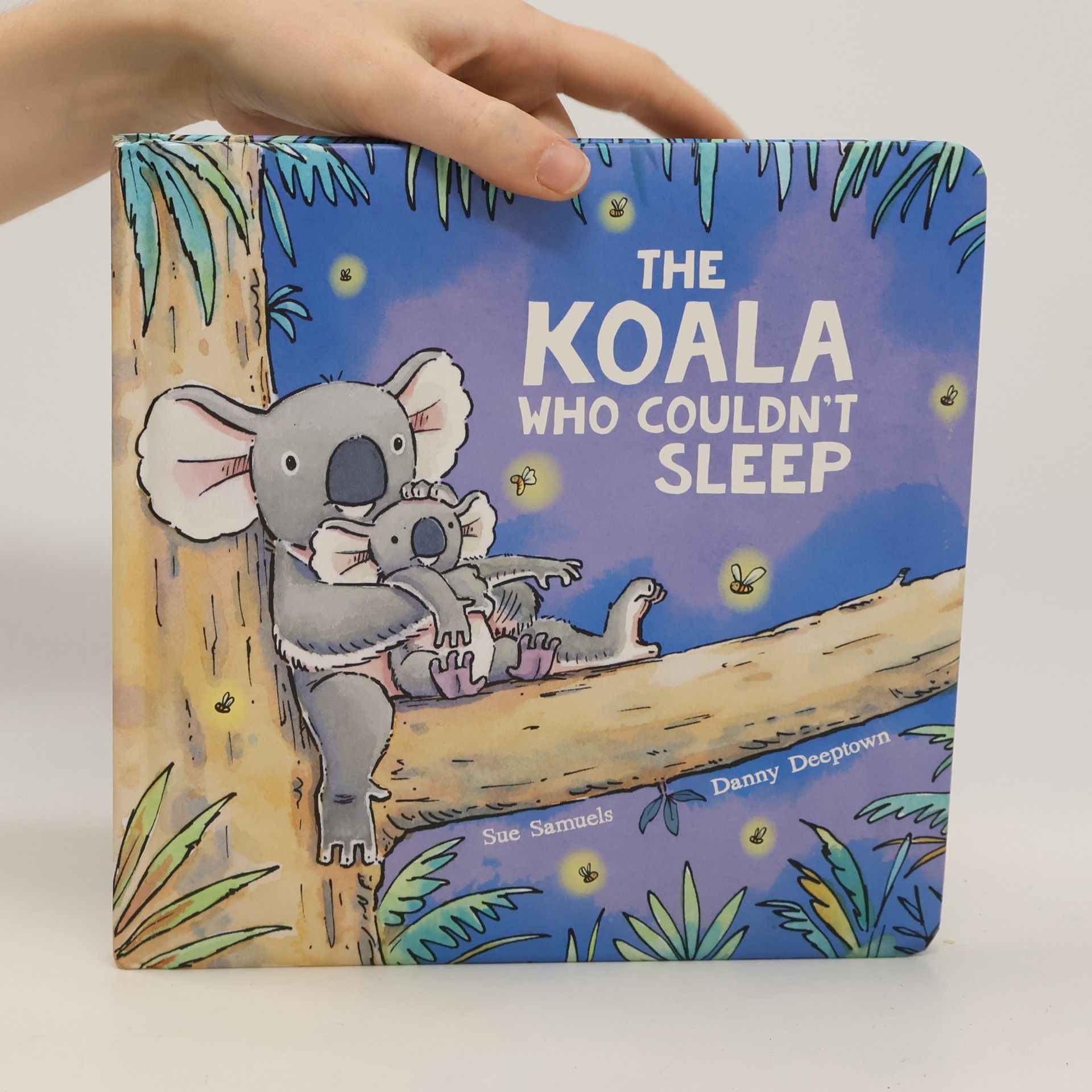 Sue Samuels The Koala Who Couldn't Sleep