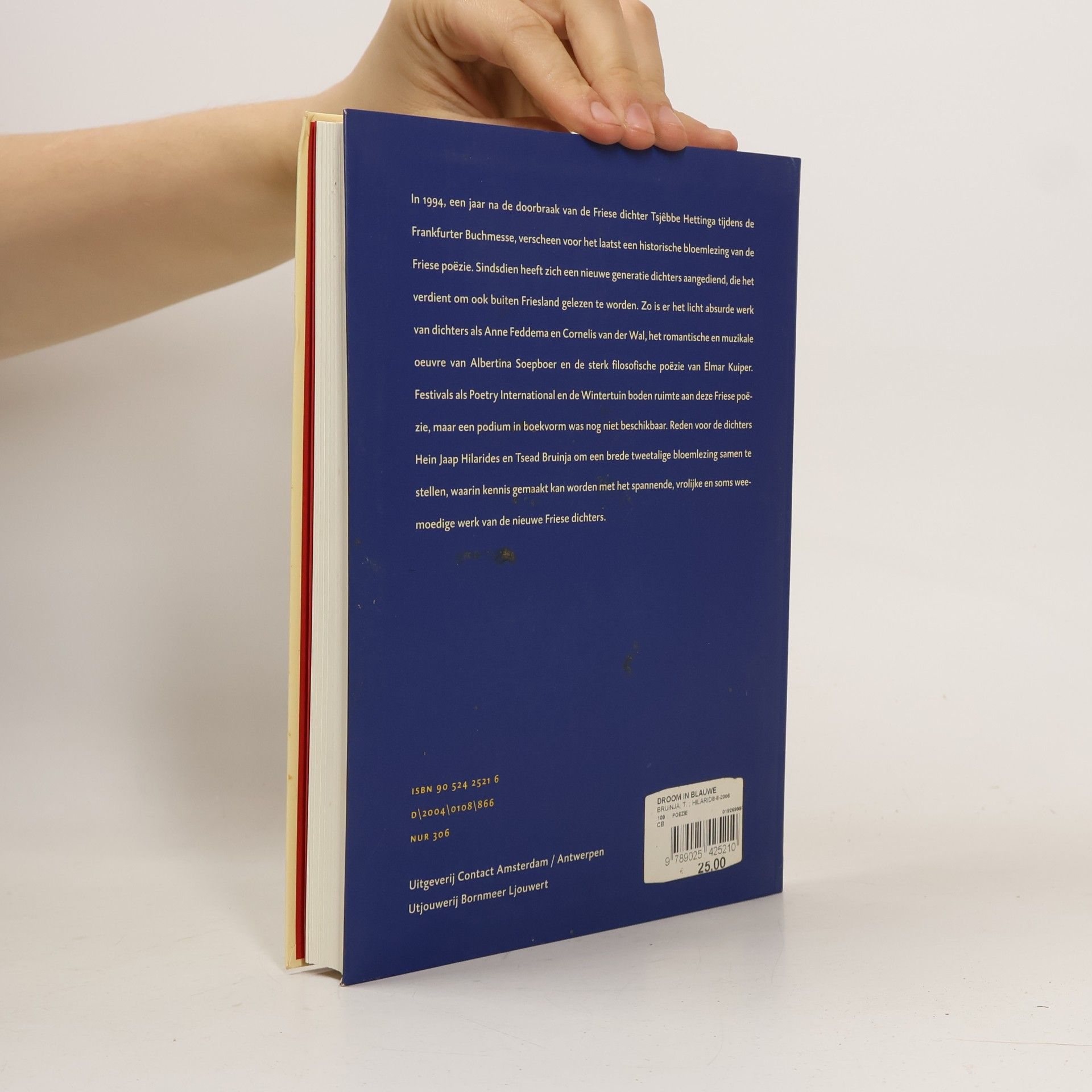 Tsead Bruinja Nieuwe Friese Dichters / Nije Fryske Dichters: Droom in blauwe regenjas = Dream yn blauwe reinjas