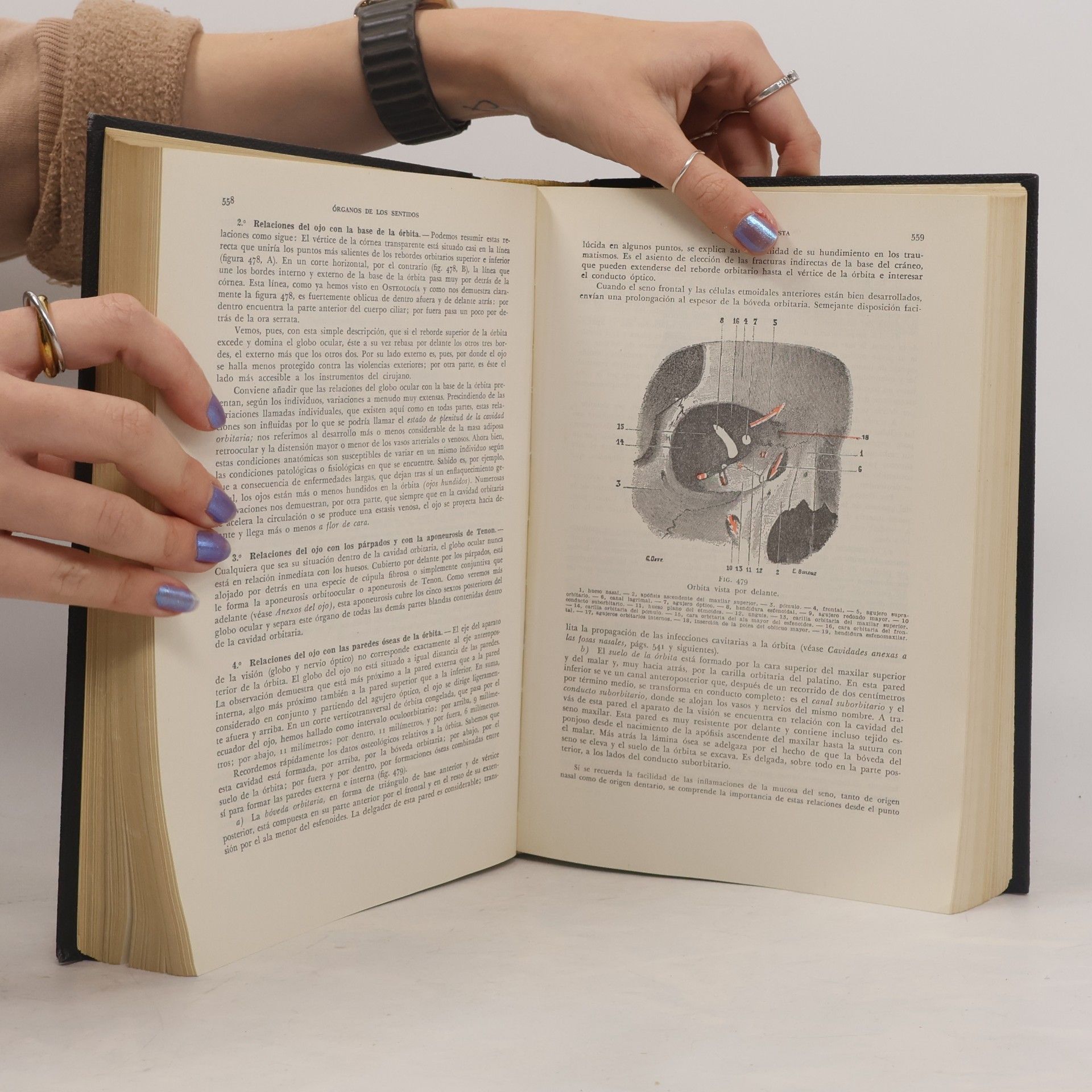 André Latarjet Anatomía Humana III.