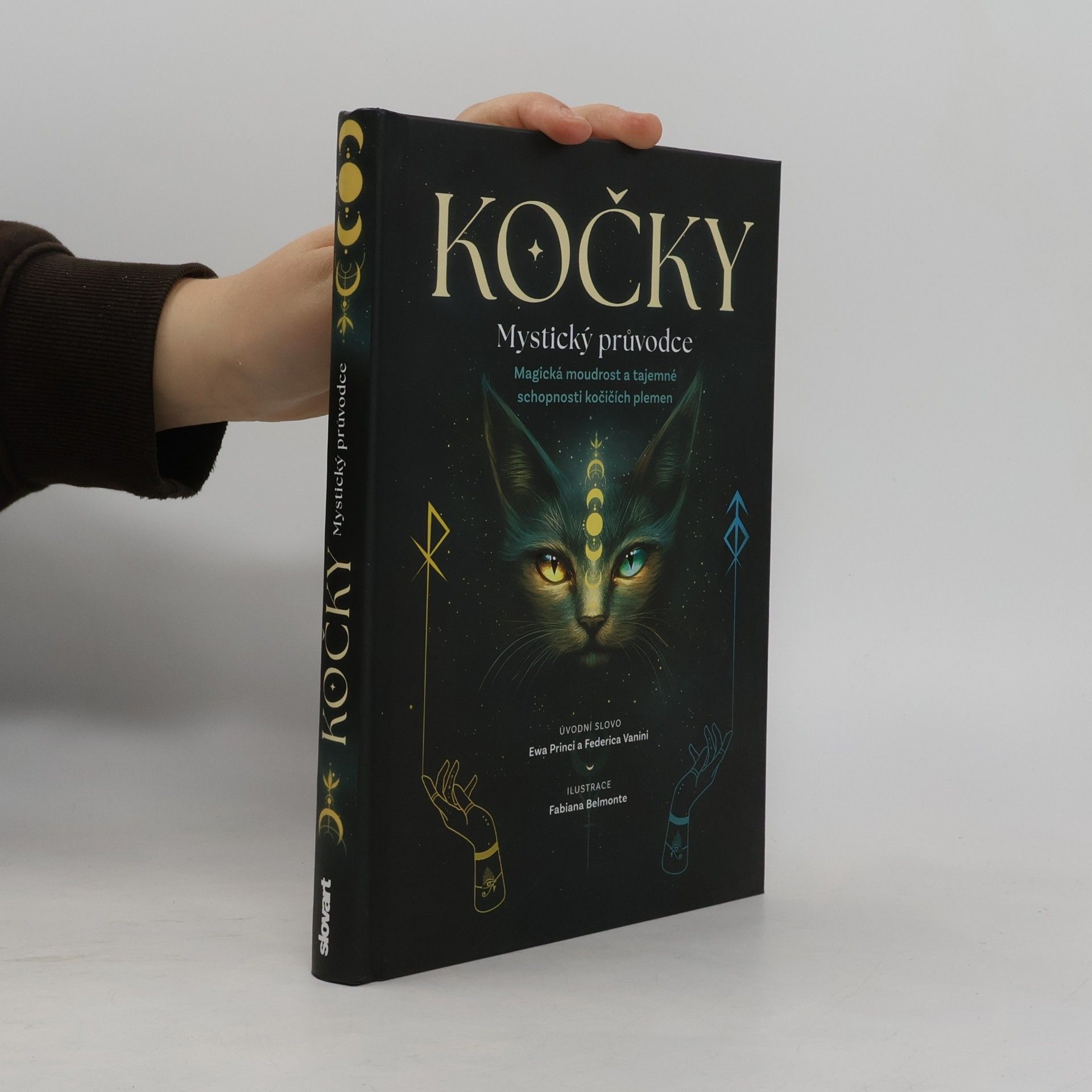 Kočky. Mystický průvodce: Magická moudrost a tajemné schopnosti kočičích plemen