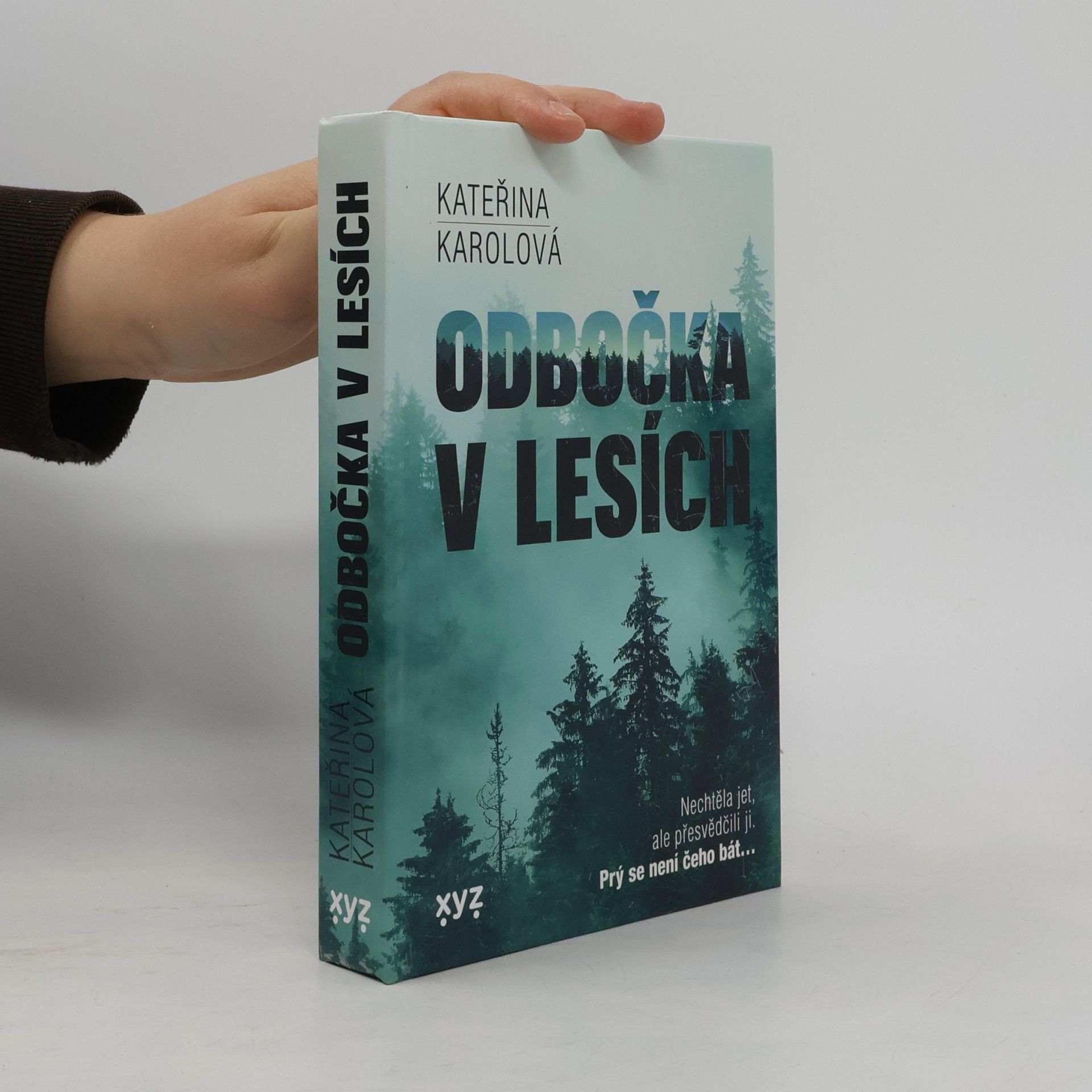 Odbočka v lesích