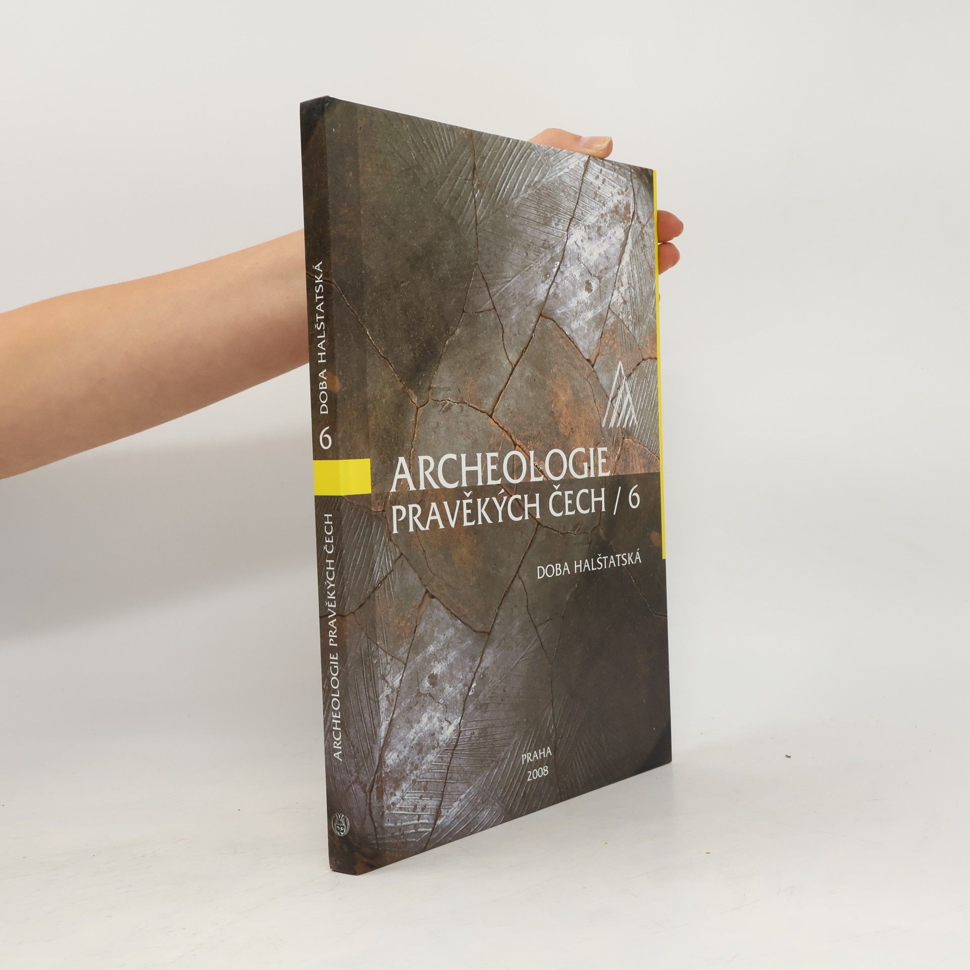 Autorenkollektiv Archeologie pravěkých Čech : Doba halštatská. 6