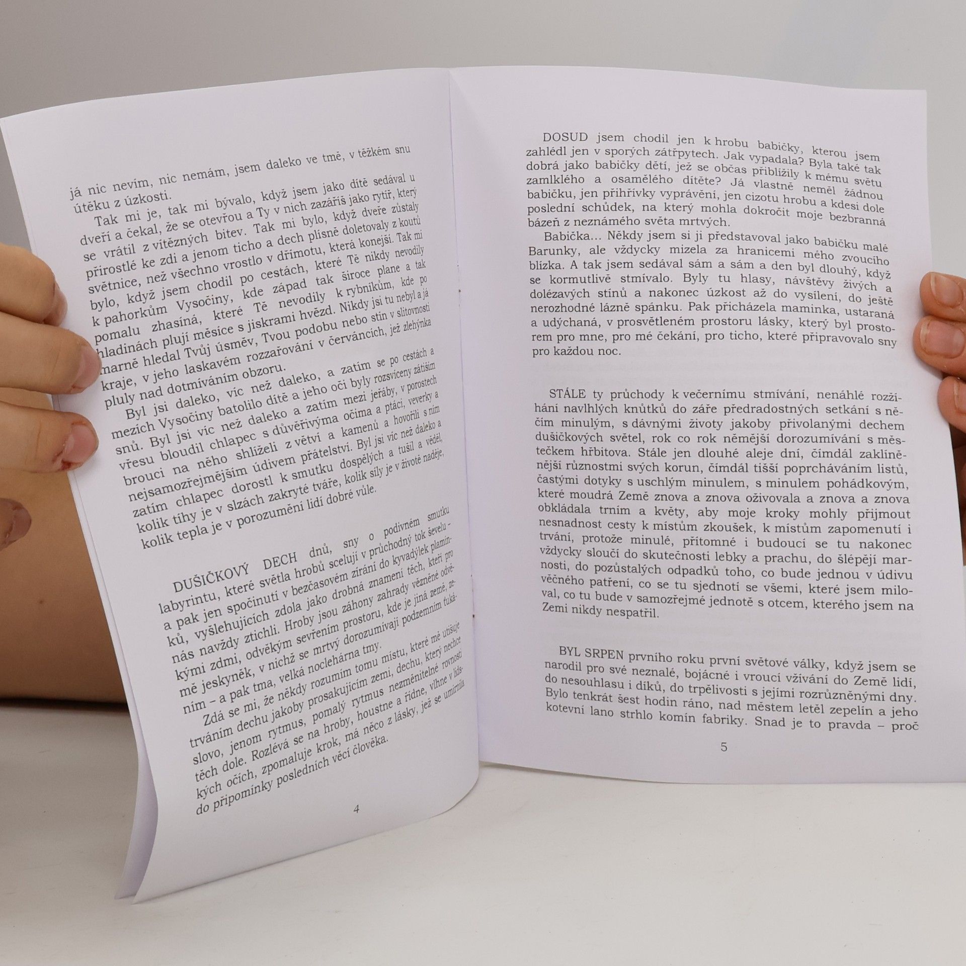 Stanislav Zedníček Dušičkové marginálie