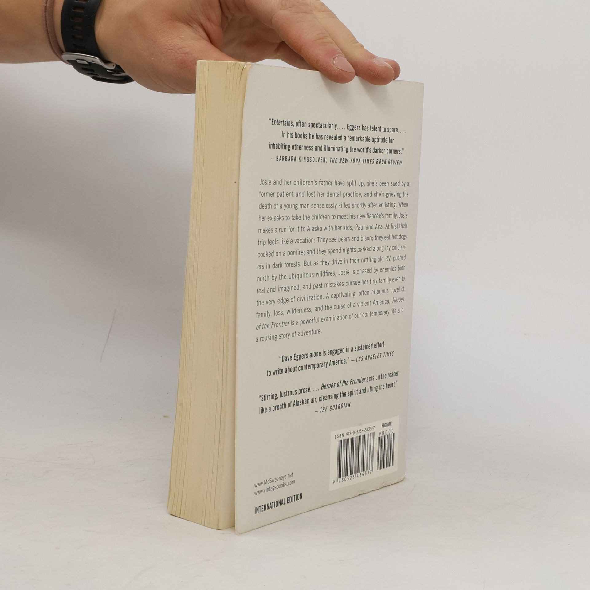 Dave Eggers Heroes of the Frontier