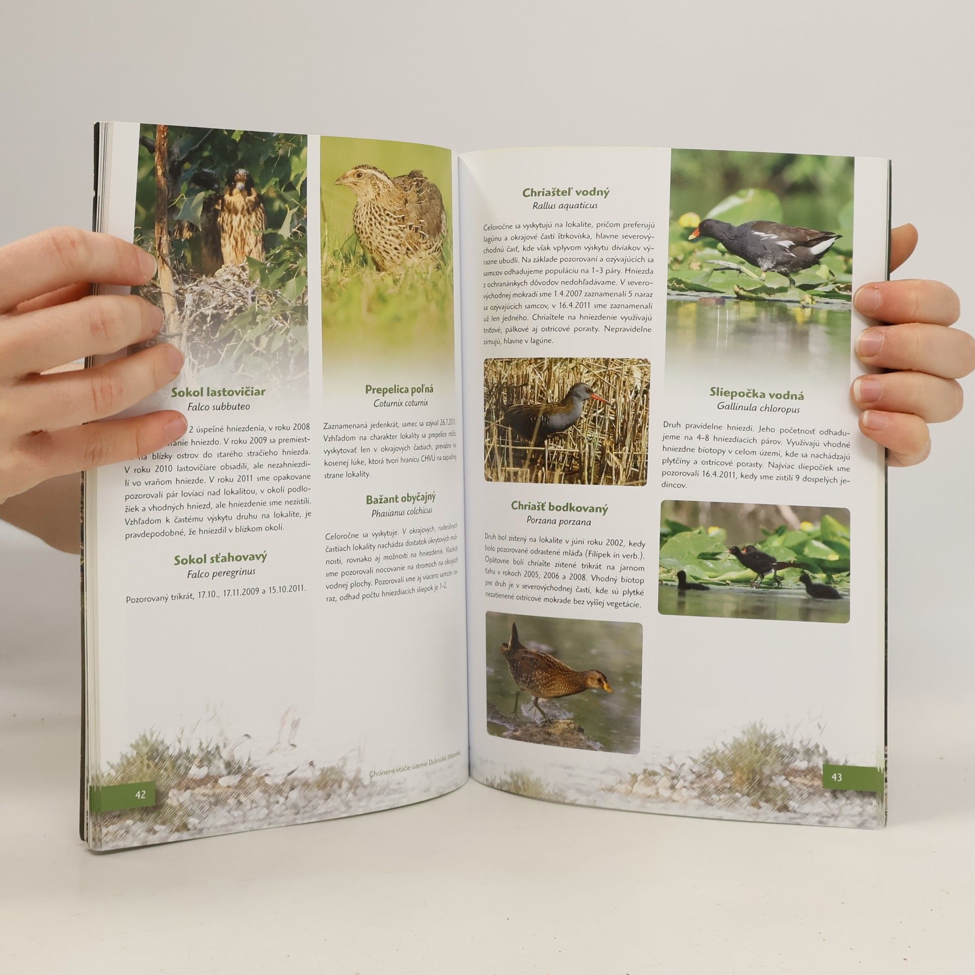 Various authors Chránené vtáčie územie Dubnické štrkovisko