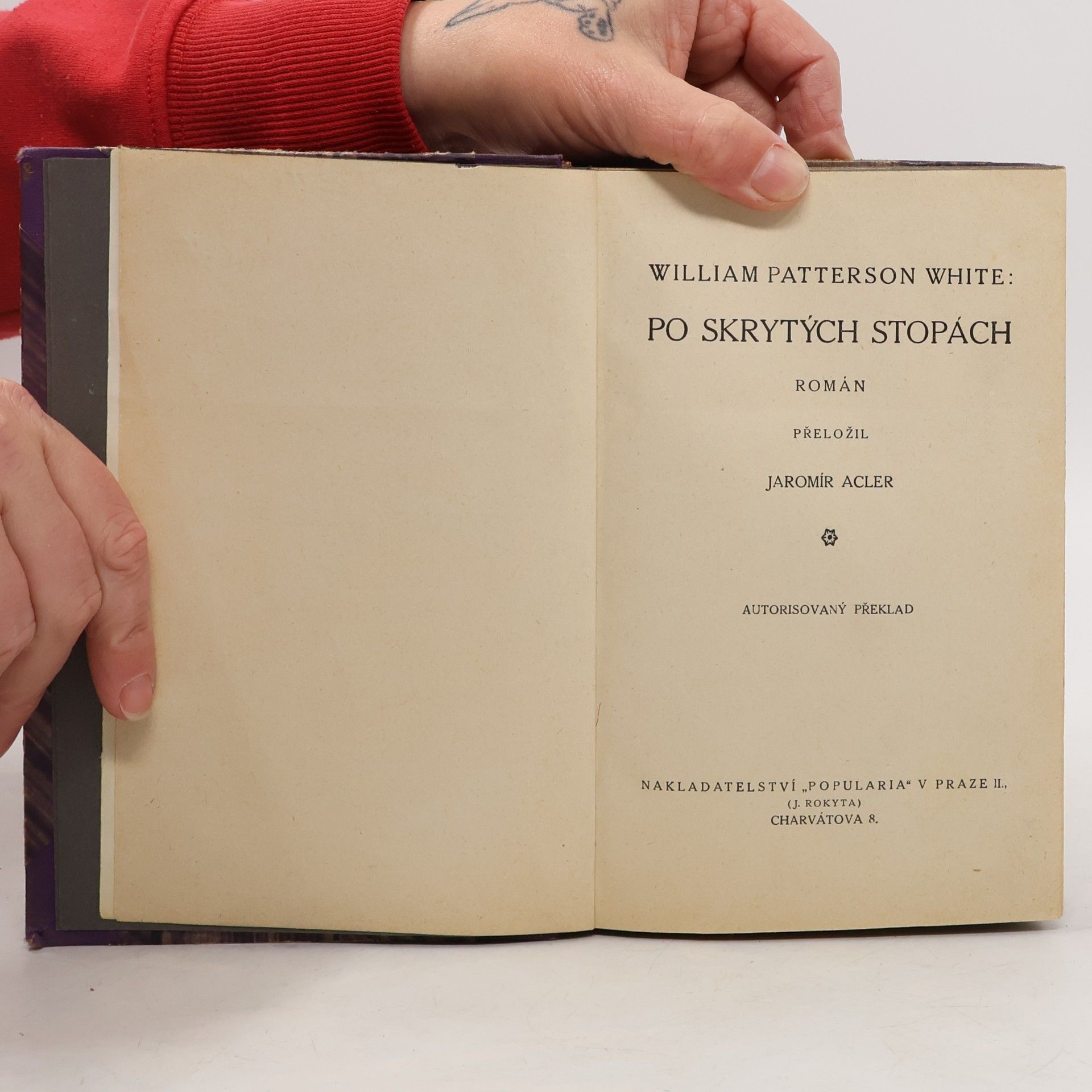 William Patterson White Po skrytých stopách