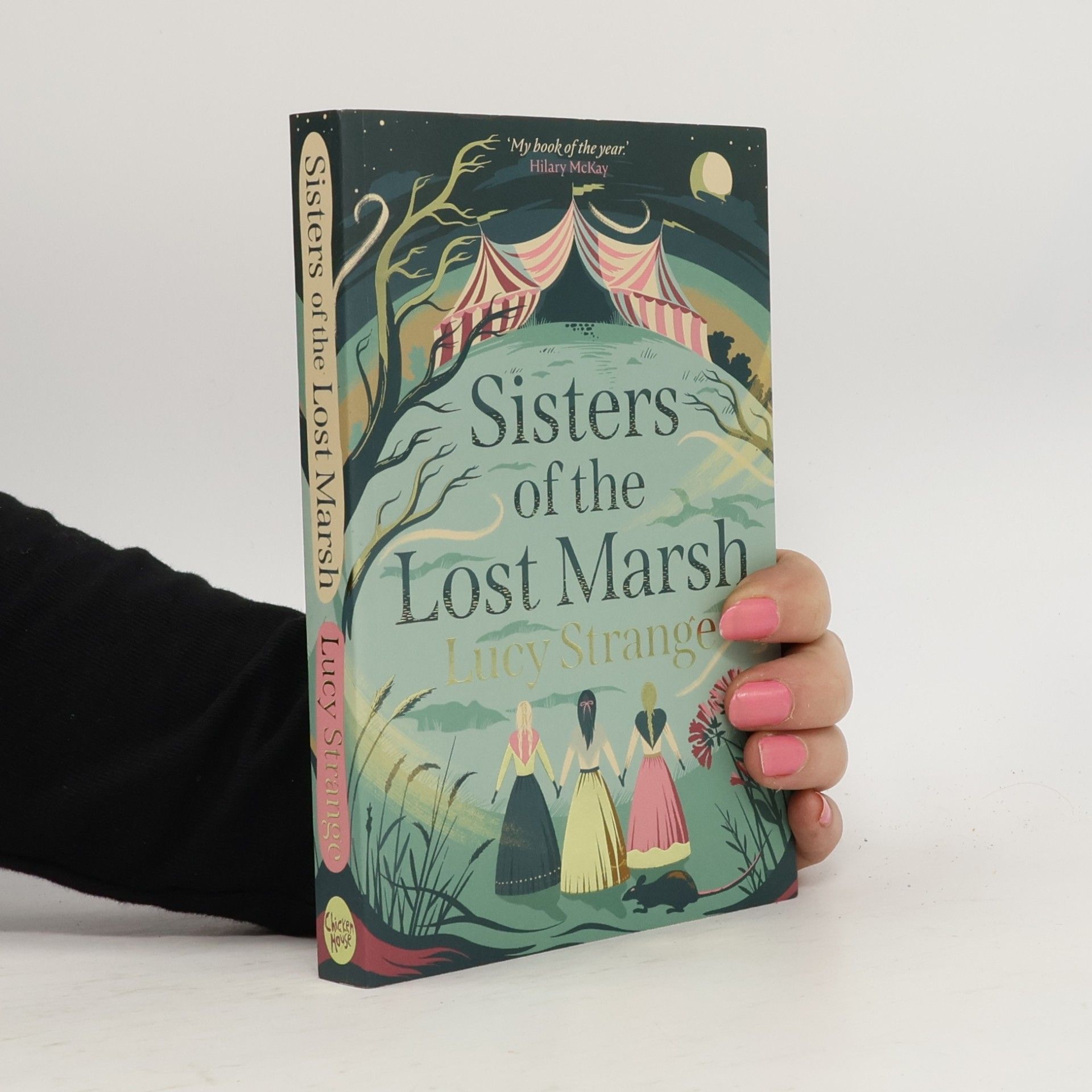Lucy Strange Sisters of the Lost Marsh