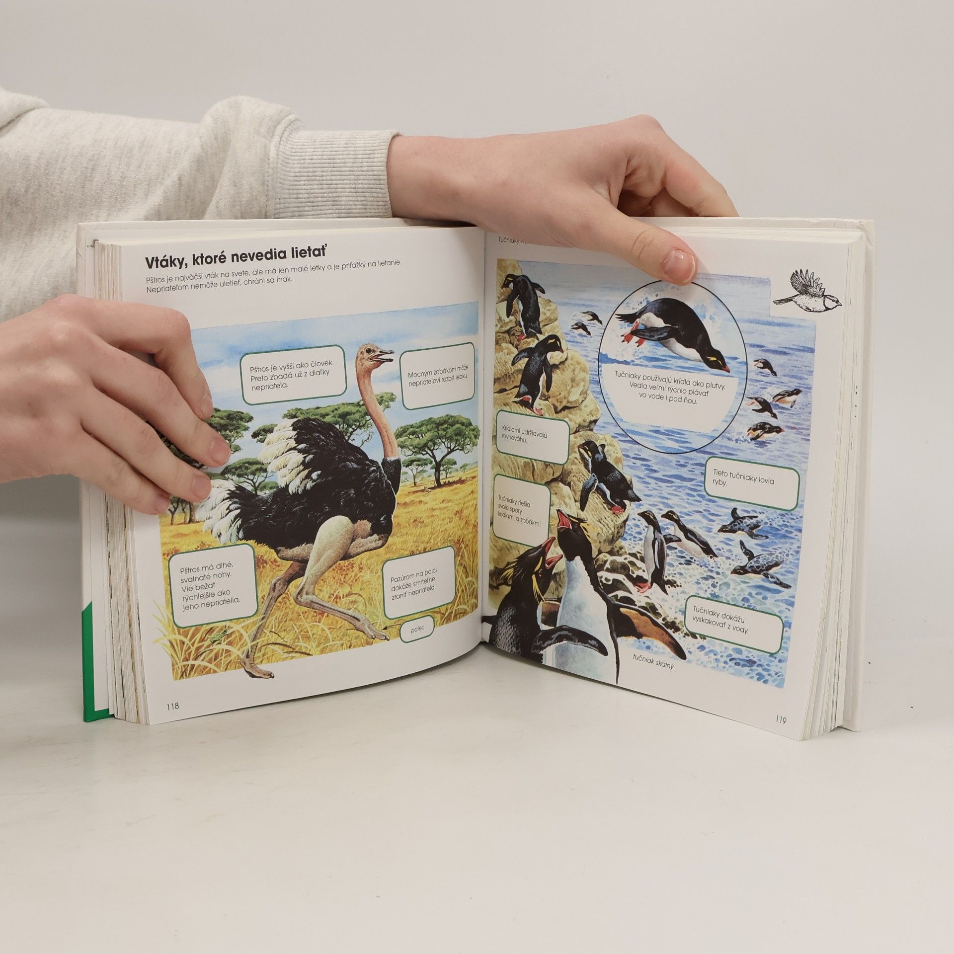 Various authors Čo všetko chcem vedieť o prírode