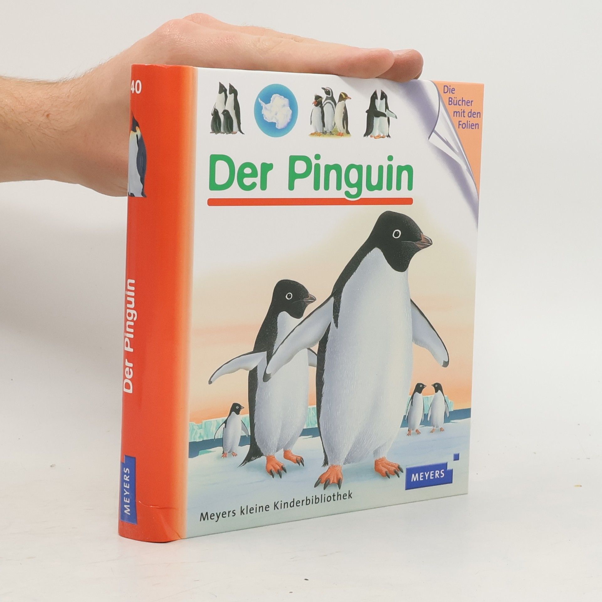 Rene Mettler Der Pinguin