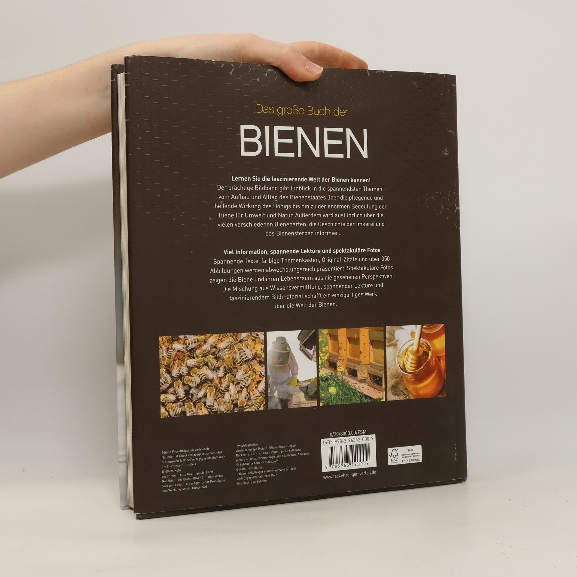 Jutta Gay Das große Buch der Bienen