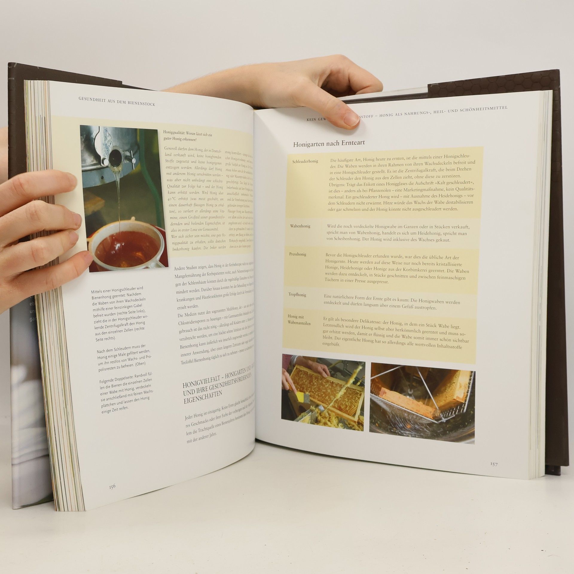 Jutta Gay Das große Buch der Bienen