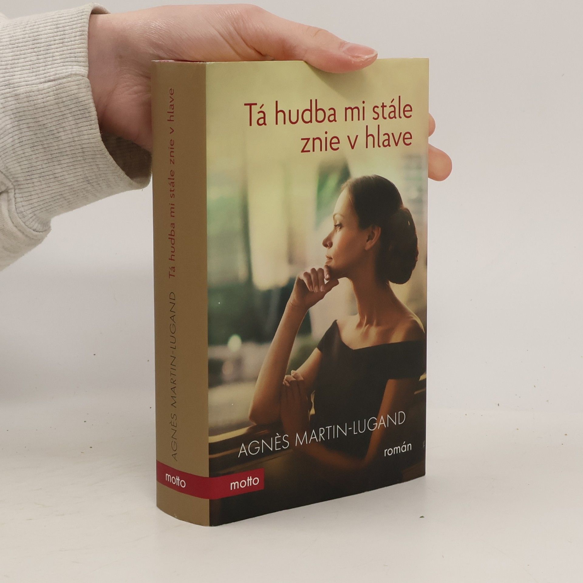 Agnès Martin-Lugand Tá hudba mi stále znie v hlave