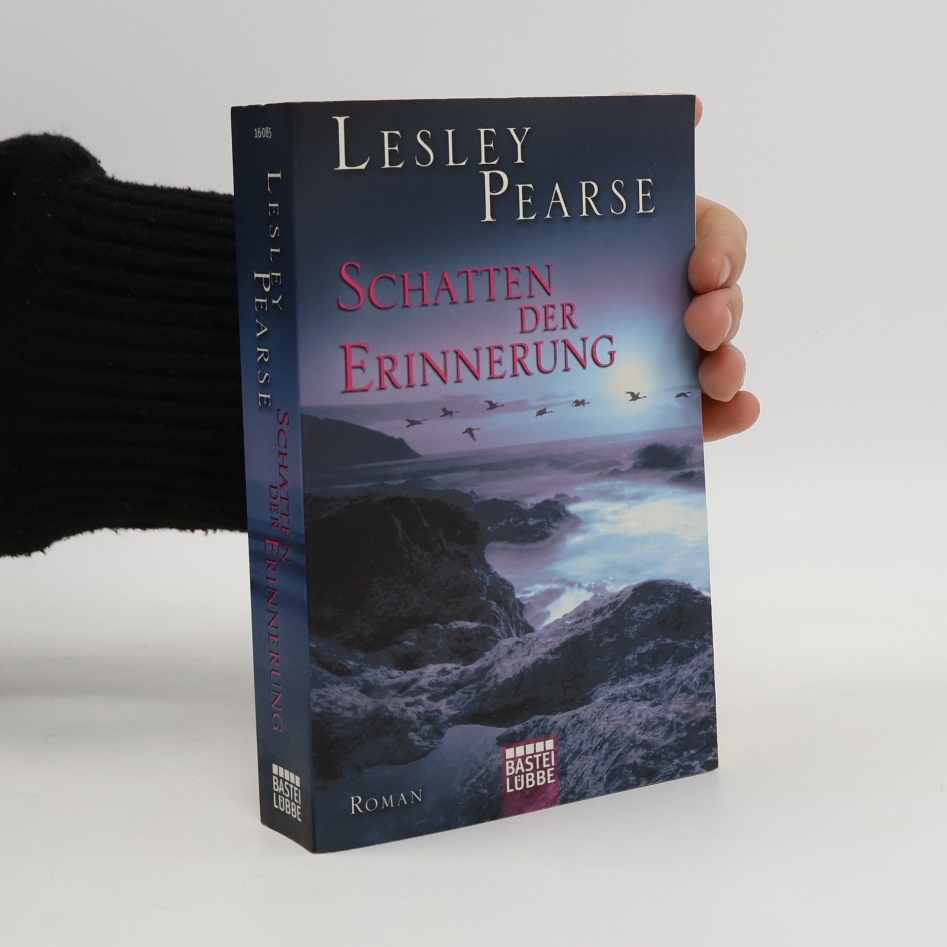 Lesley Pearse Schatten der Erinnerung